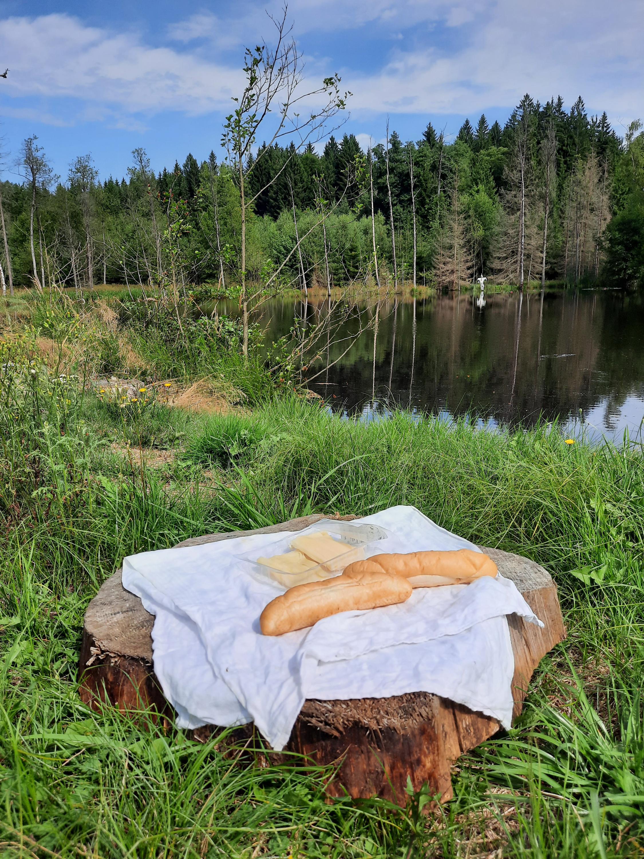 Ubytování Slavonice U Koloběžky foto 5