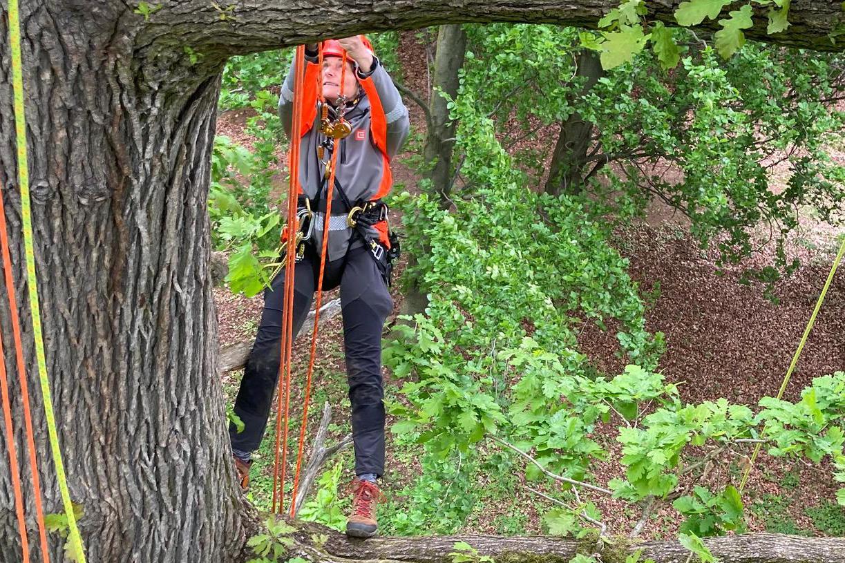Zahradnické práce České Budějovice – Krásná zahrada