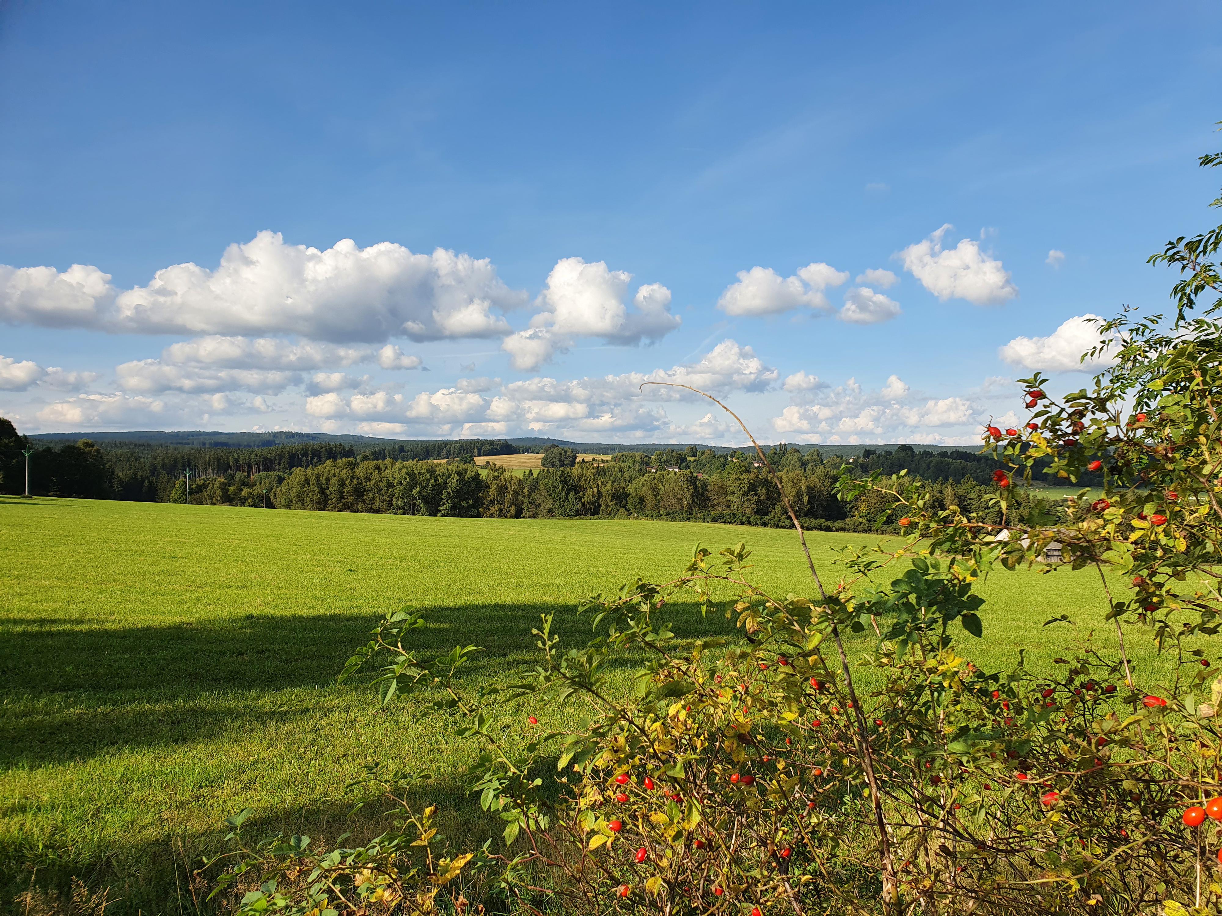 Obora - obecní úřad foto 2