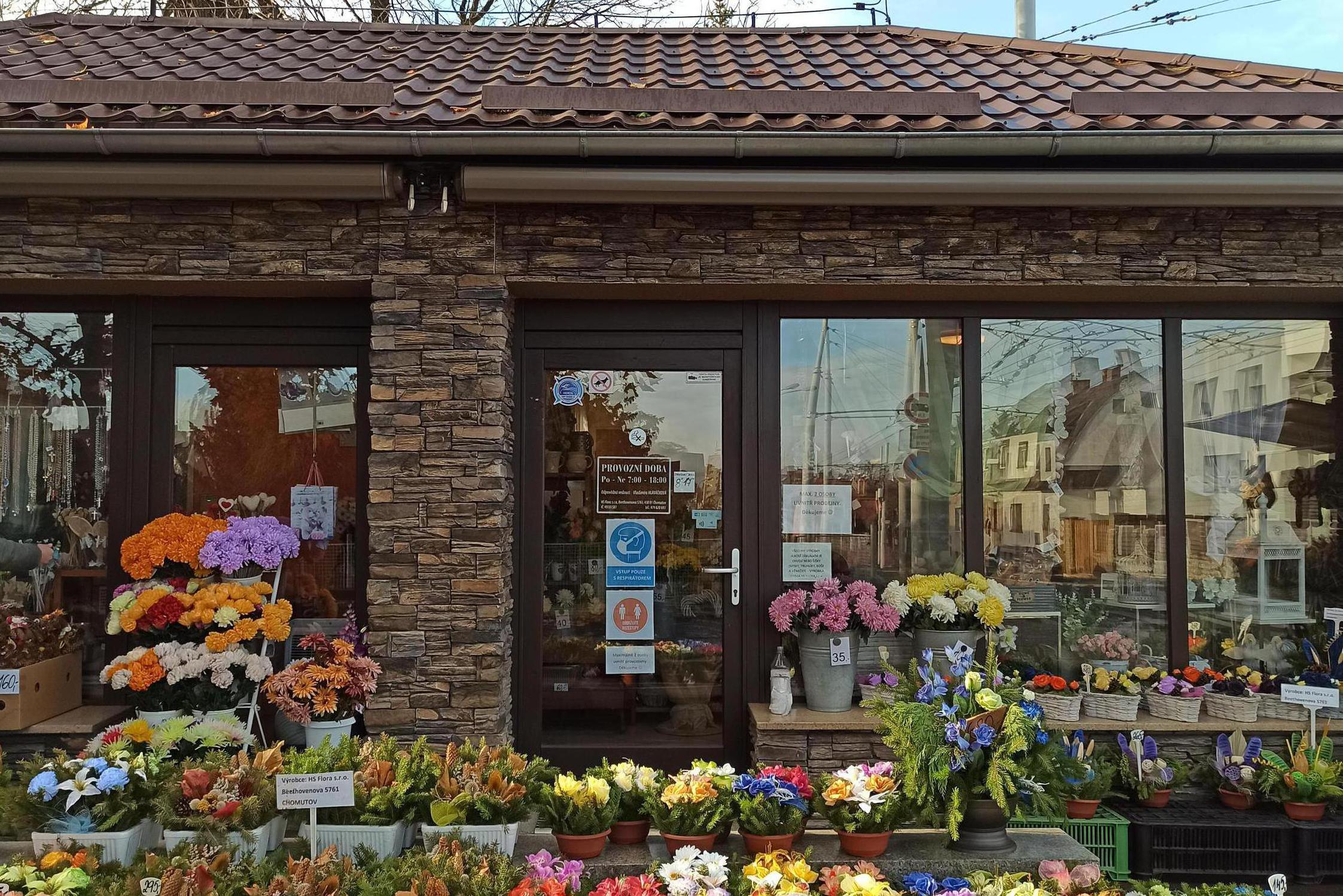 Kopretina u hřbitova