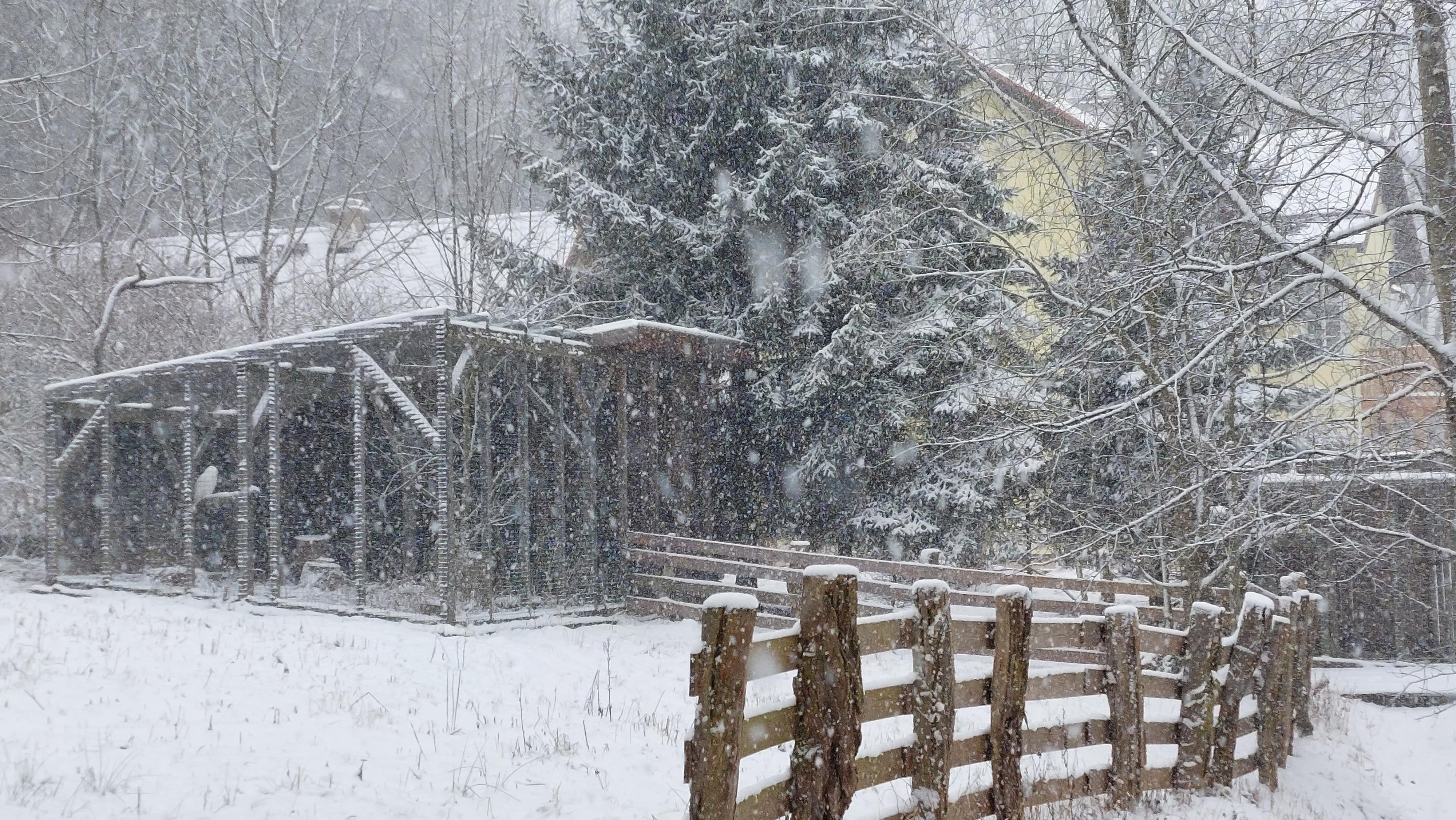 Lovecký zámeček pod Milešovkou foto 6