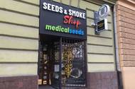 Fotografie Medical Seeds