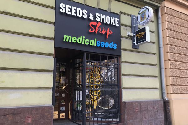 Semena Olomouc