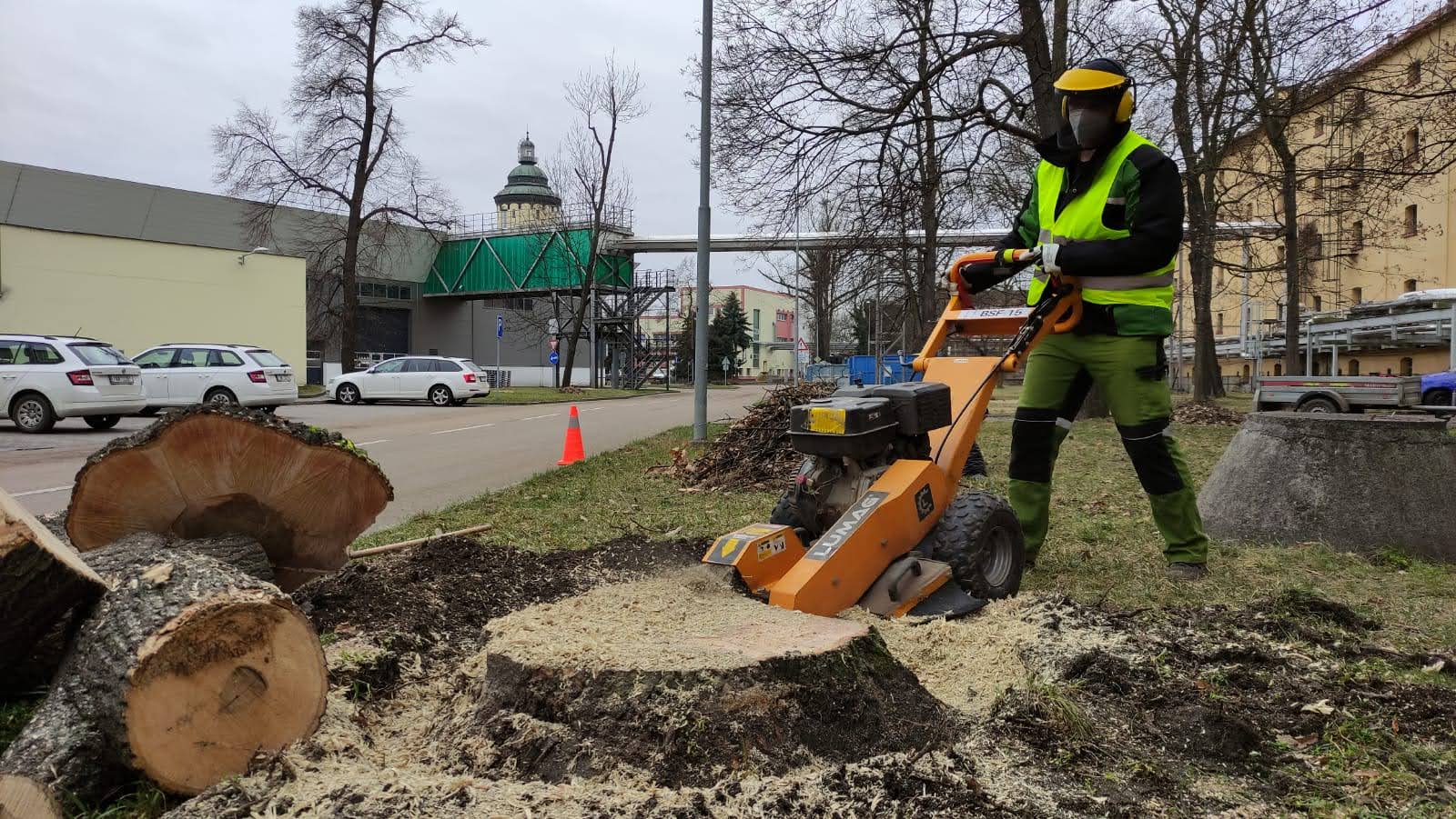 Odstraňujemepařezy.cz foto 4