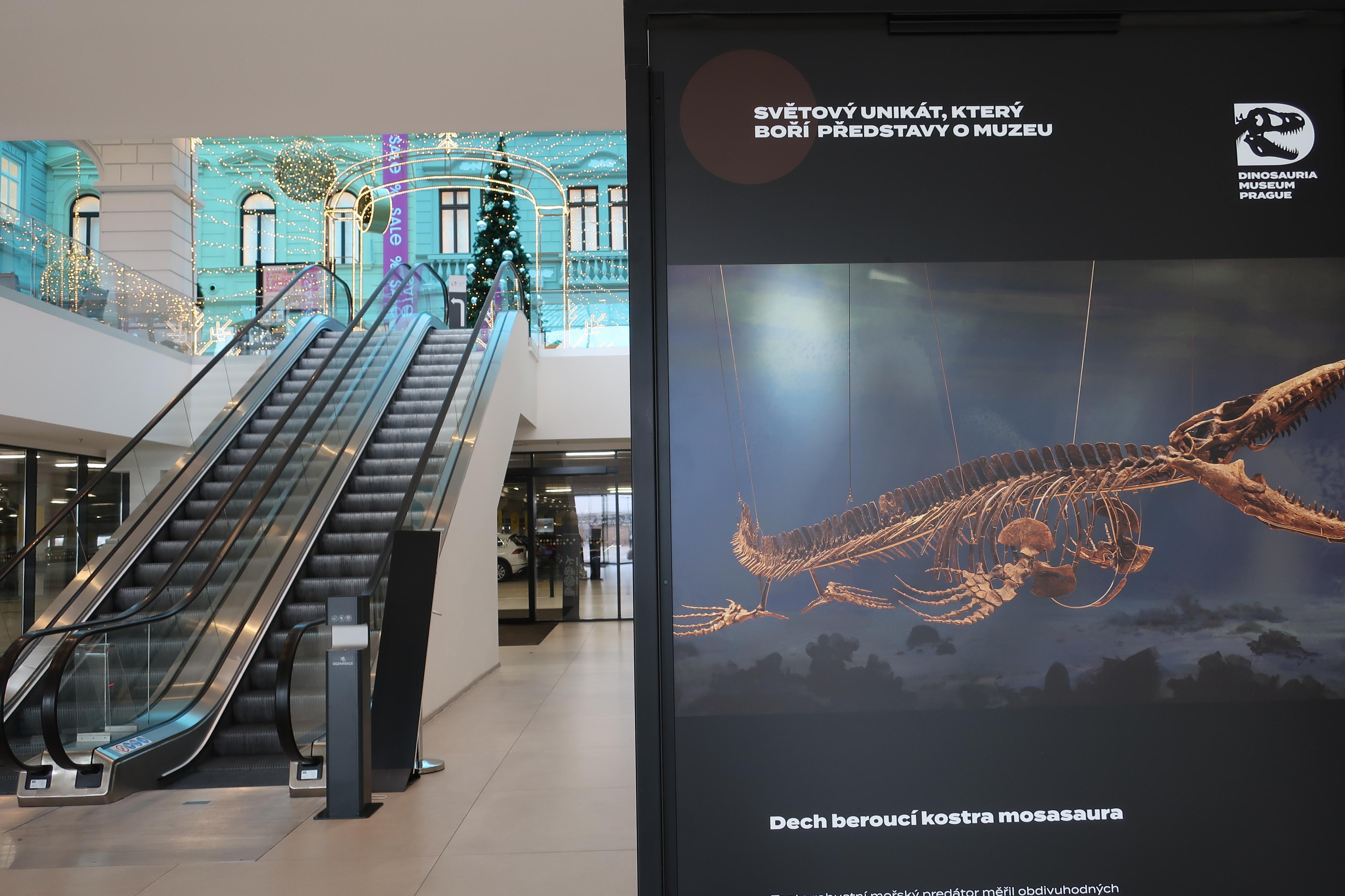 POP Airport foto 6