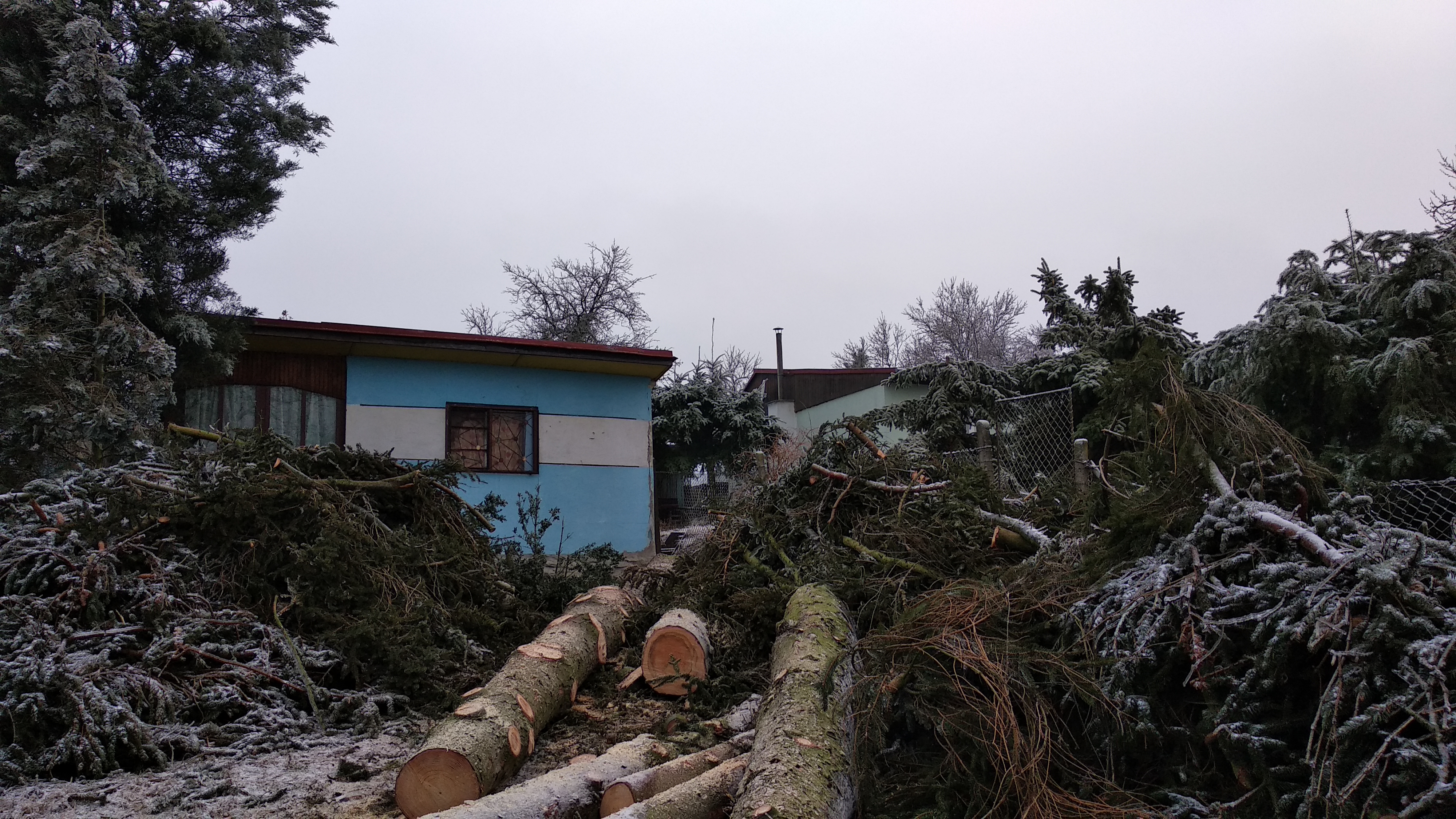 Rizikové kácení stromů - DIRECT PRO s.r.o. foto 2