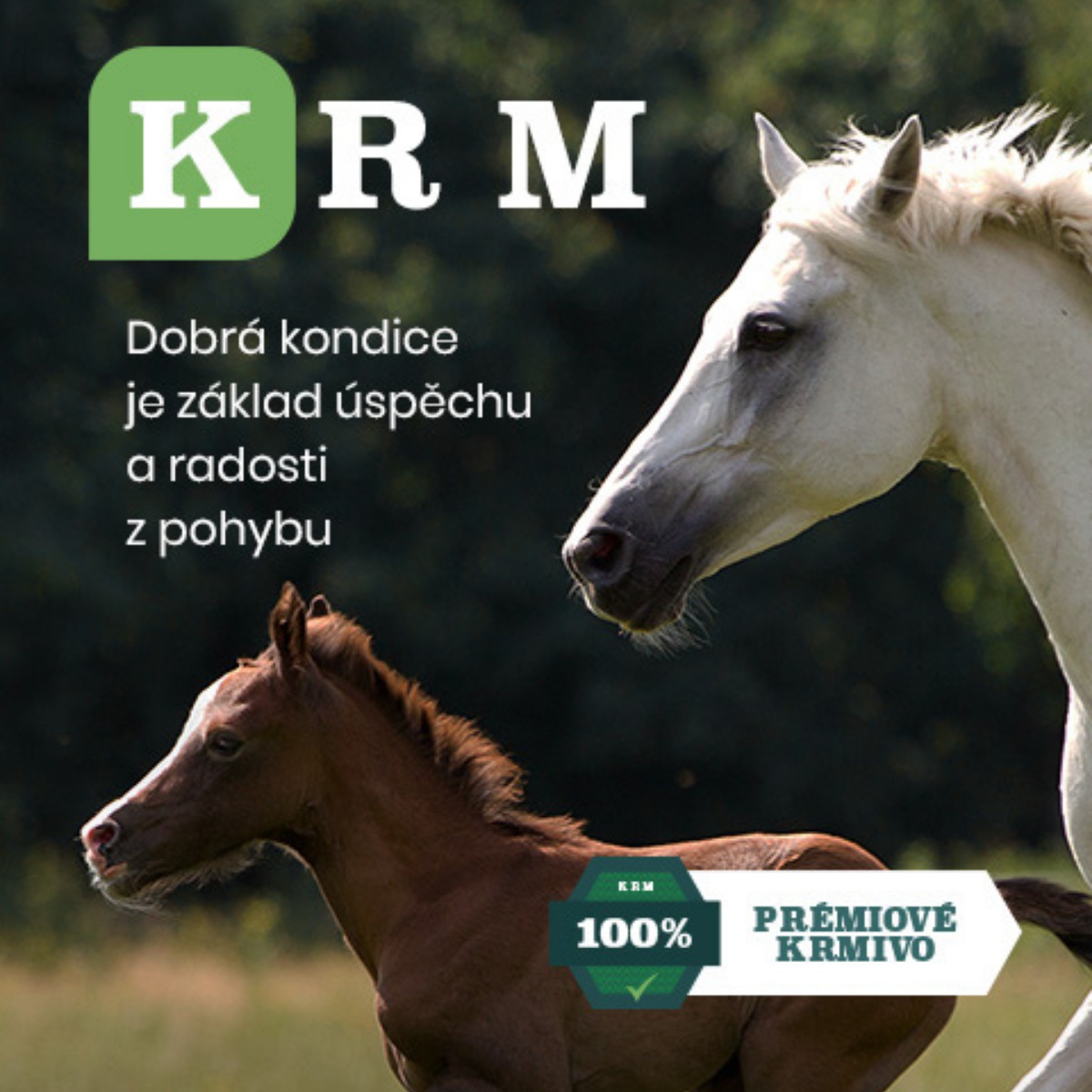 Krmkone.cz foto 4