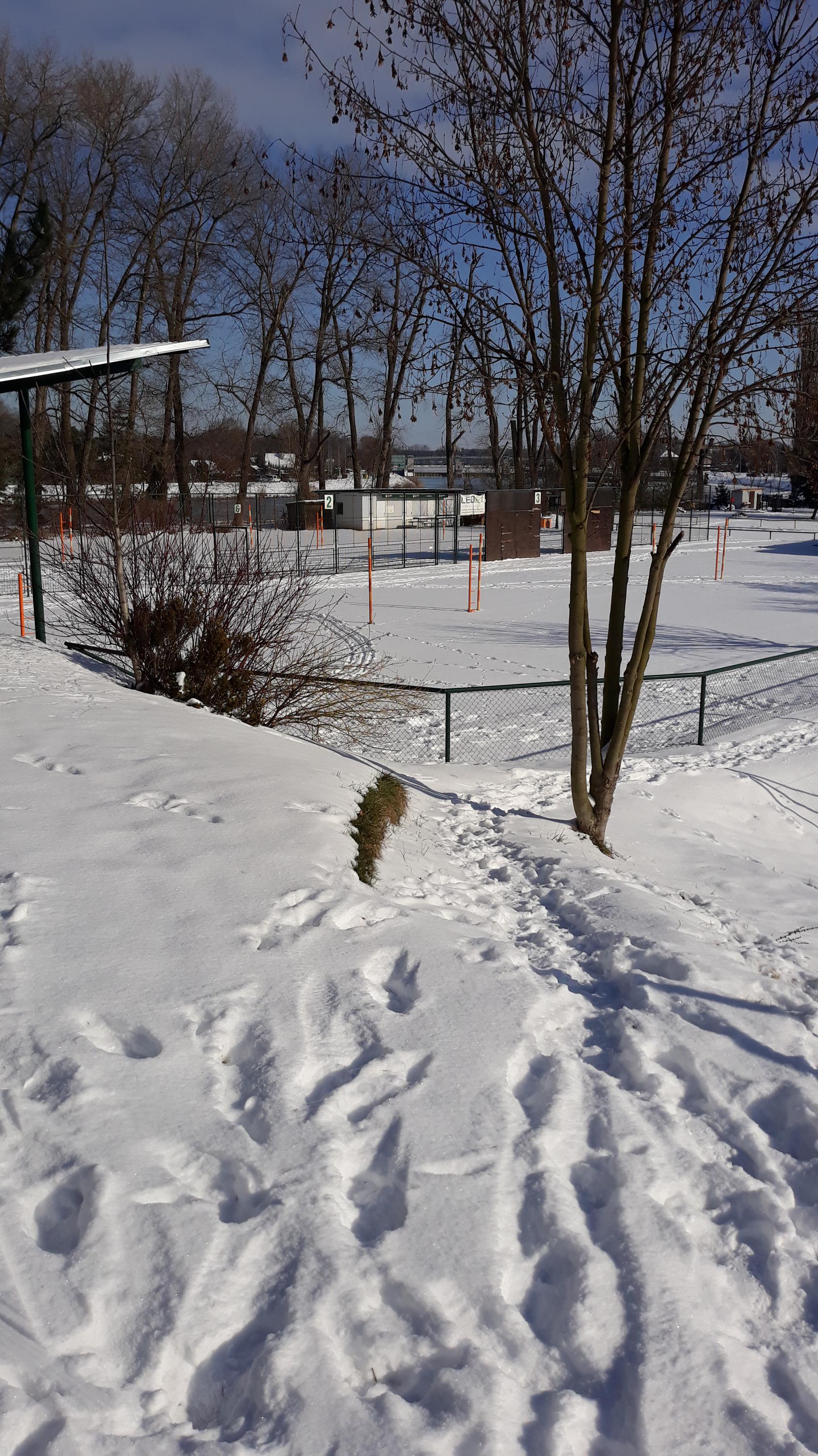 Volejbal Čelákovice foto 3