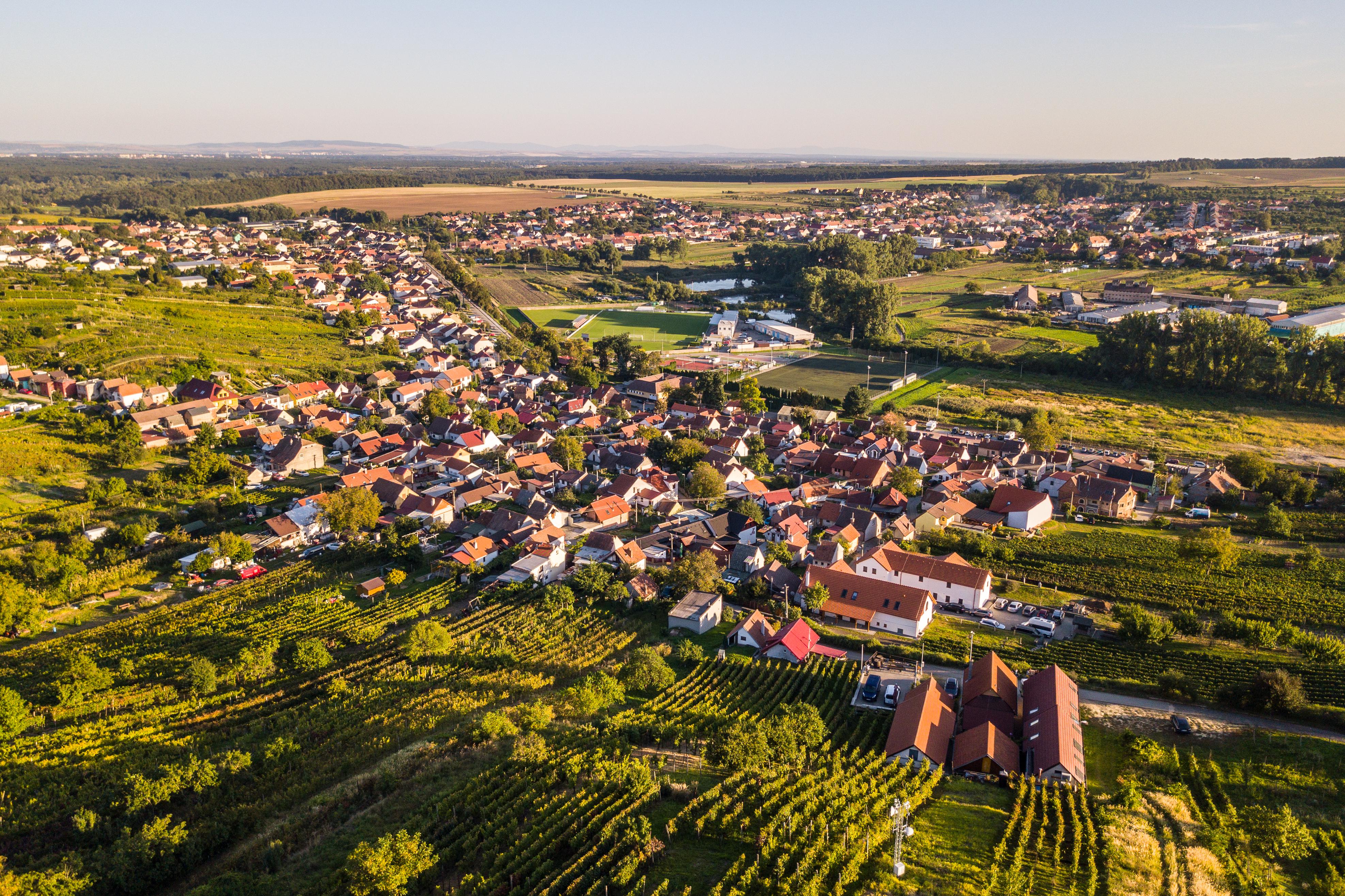 Vinařství Marian Vrba - ubytování foto 4