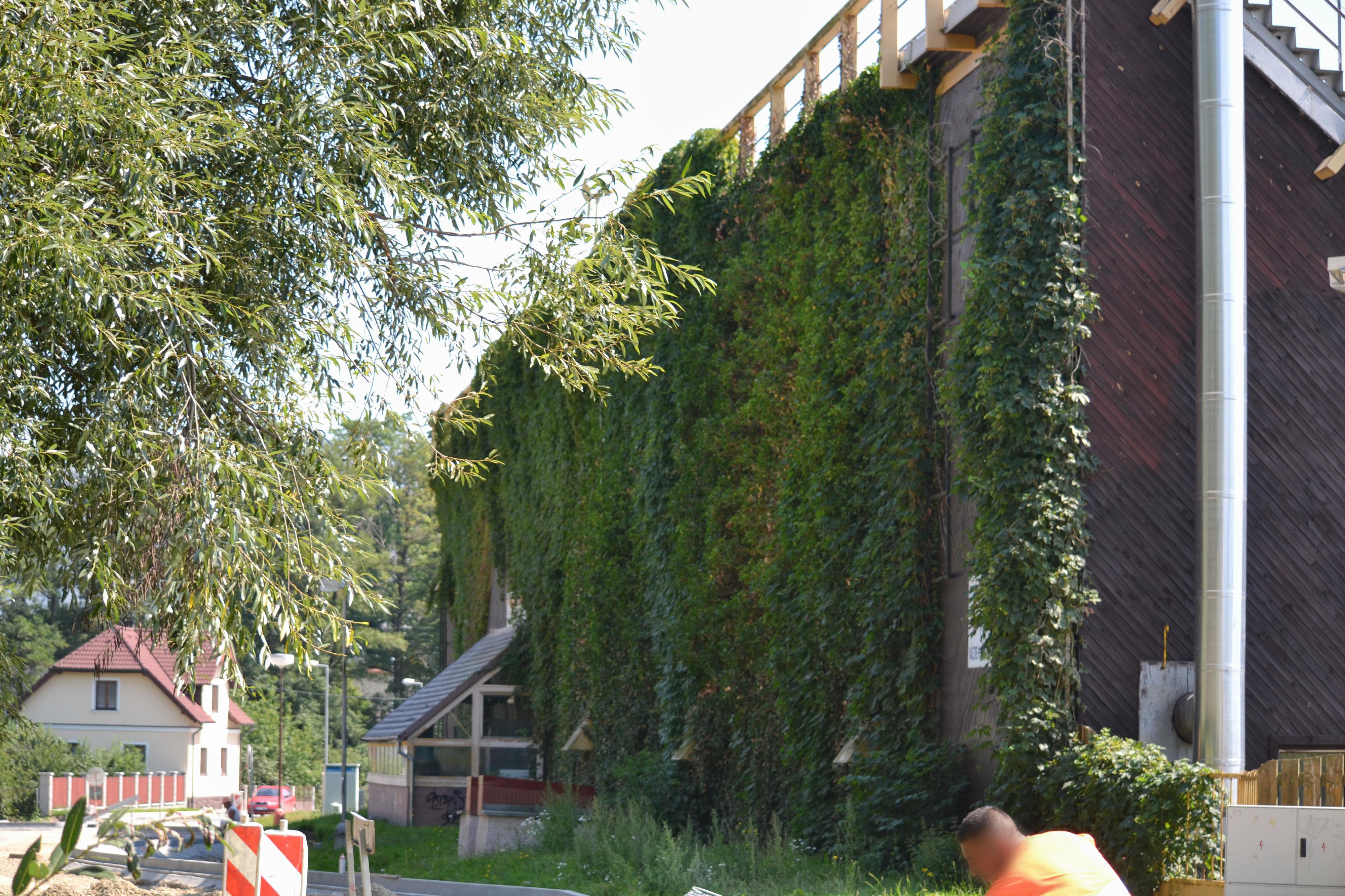 Plavecký bazén a koupaliště Tachov foto 2