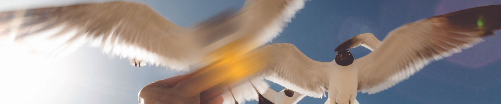 Cover image Oční klinika NeoVize Praha