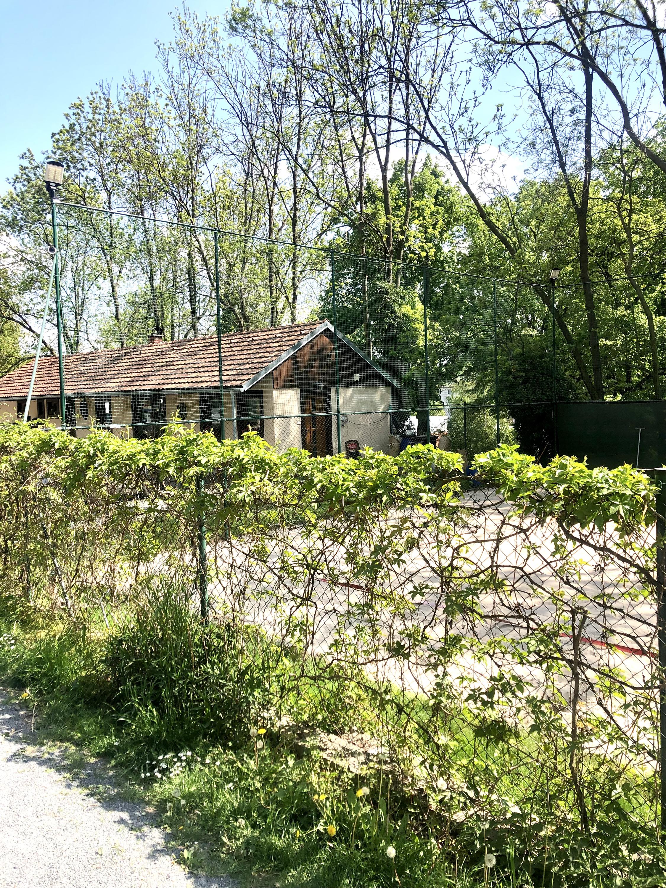 Quo Vadis - jízdárna Hloubětín foto 3