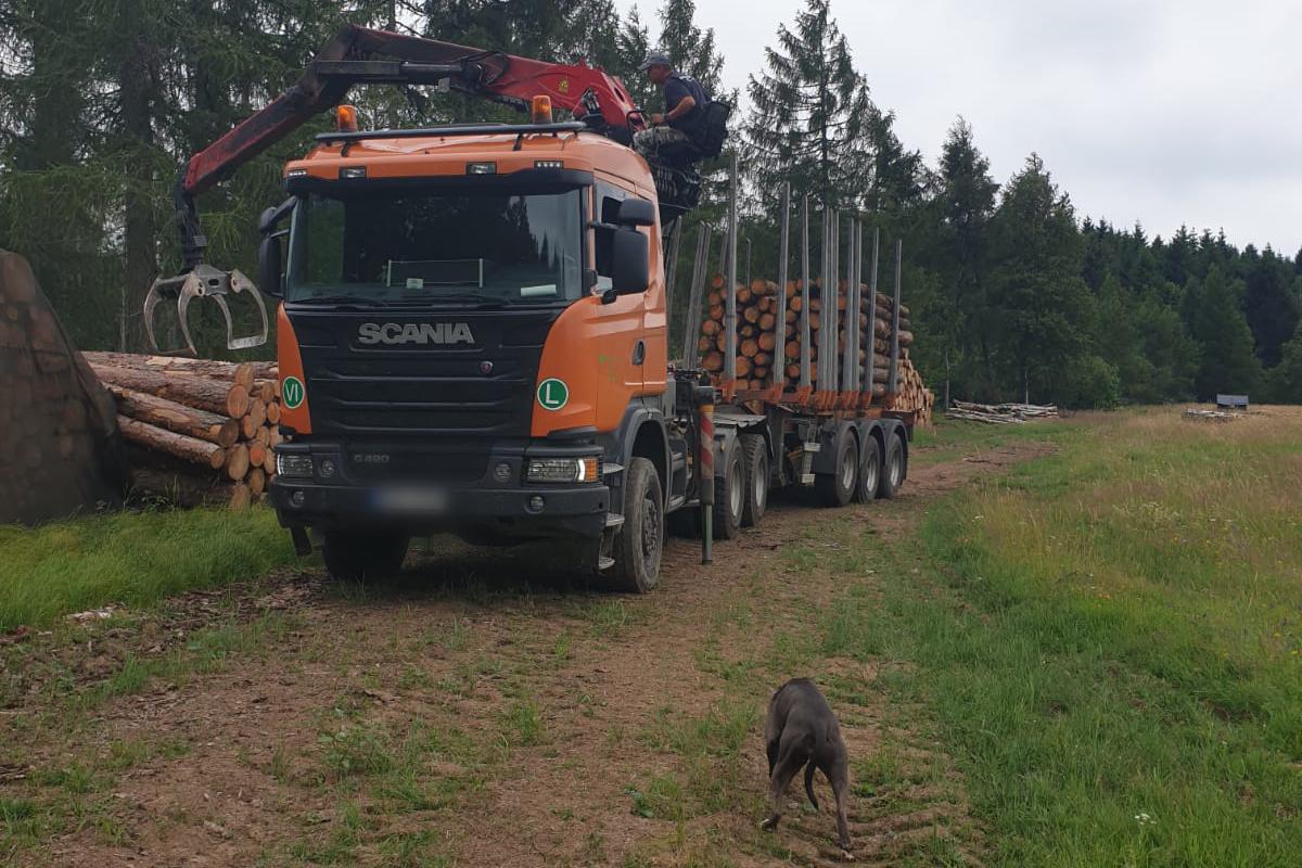 HEDERA ZIMA, spol. s r.o. - Prodej dřeva