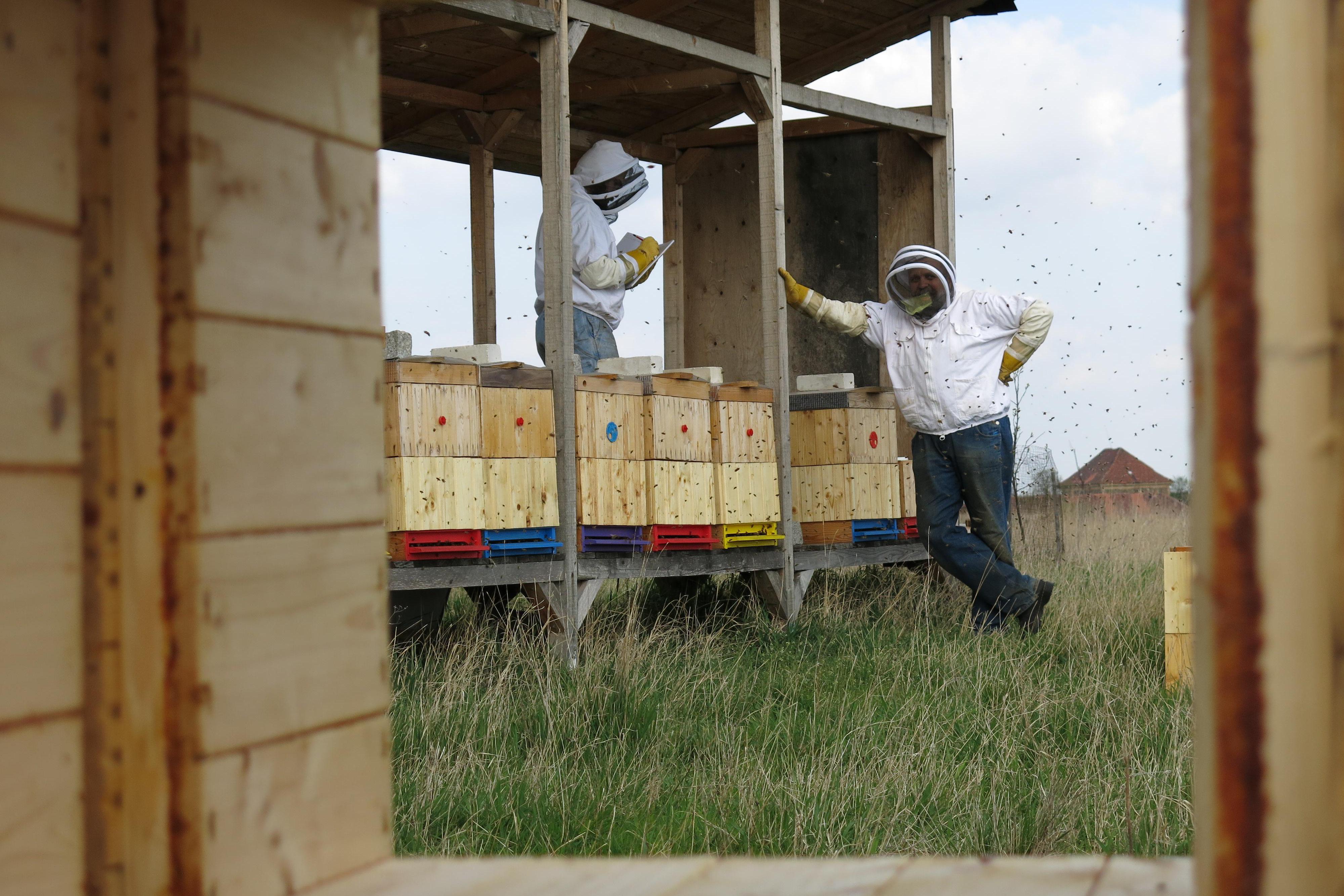 Včelařství Marmedy