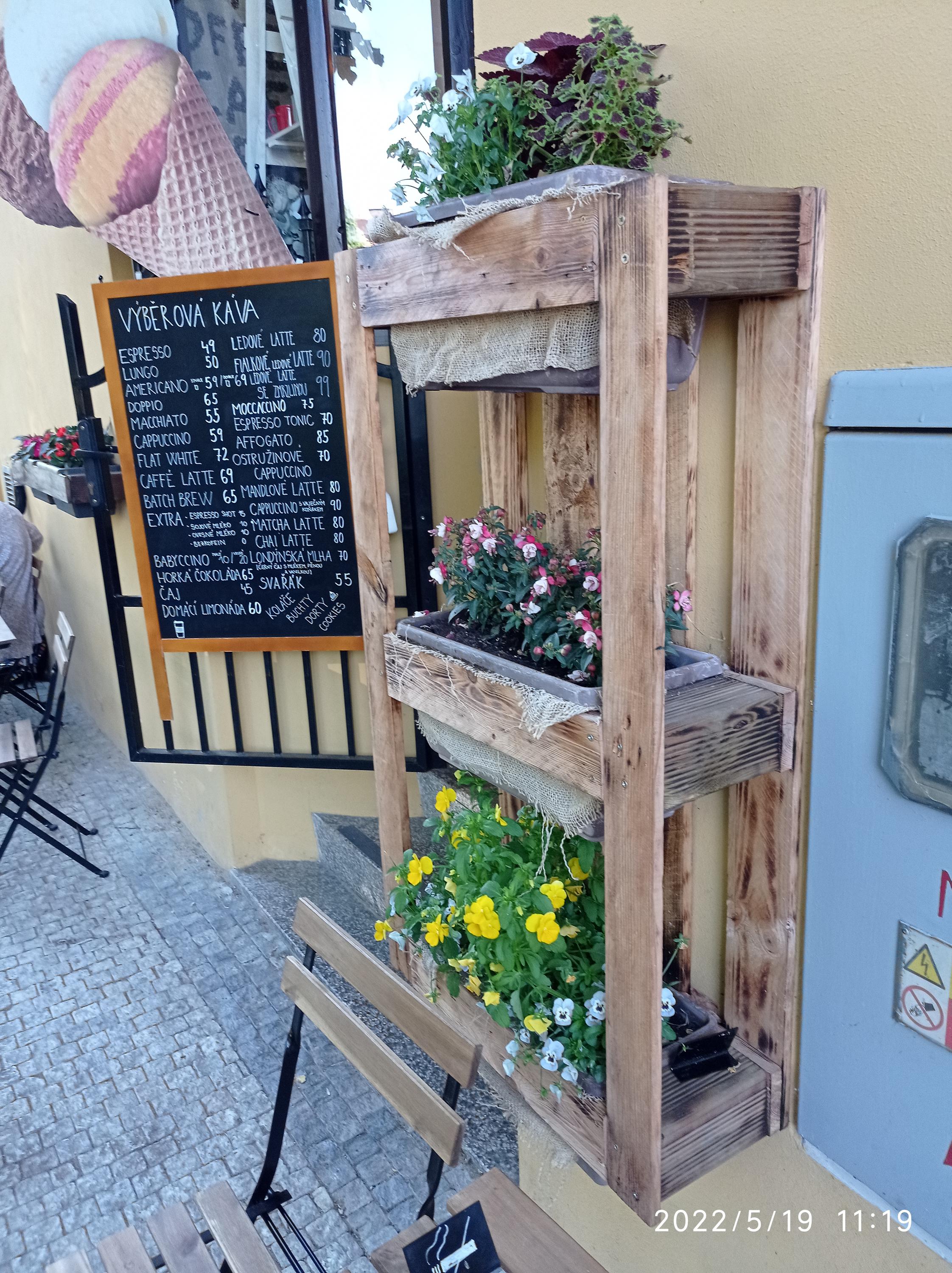 Estella CAFÉ foto 5