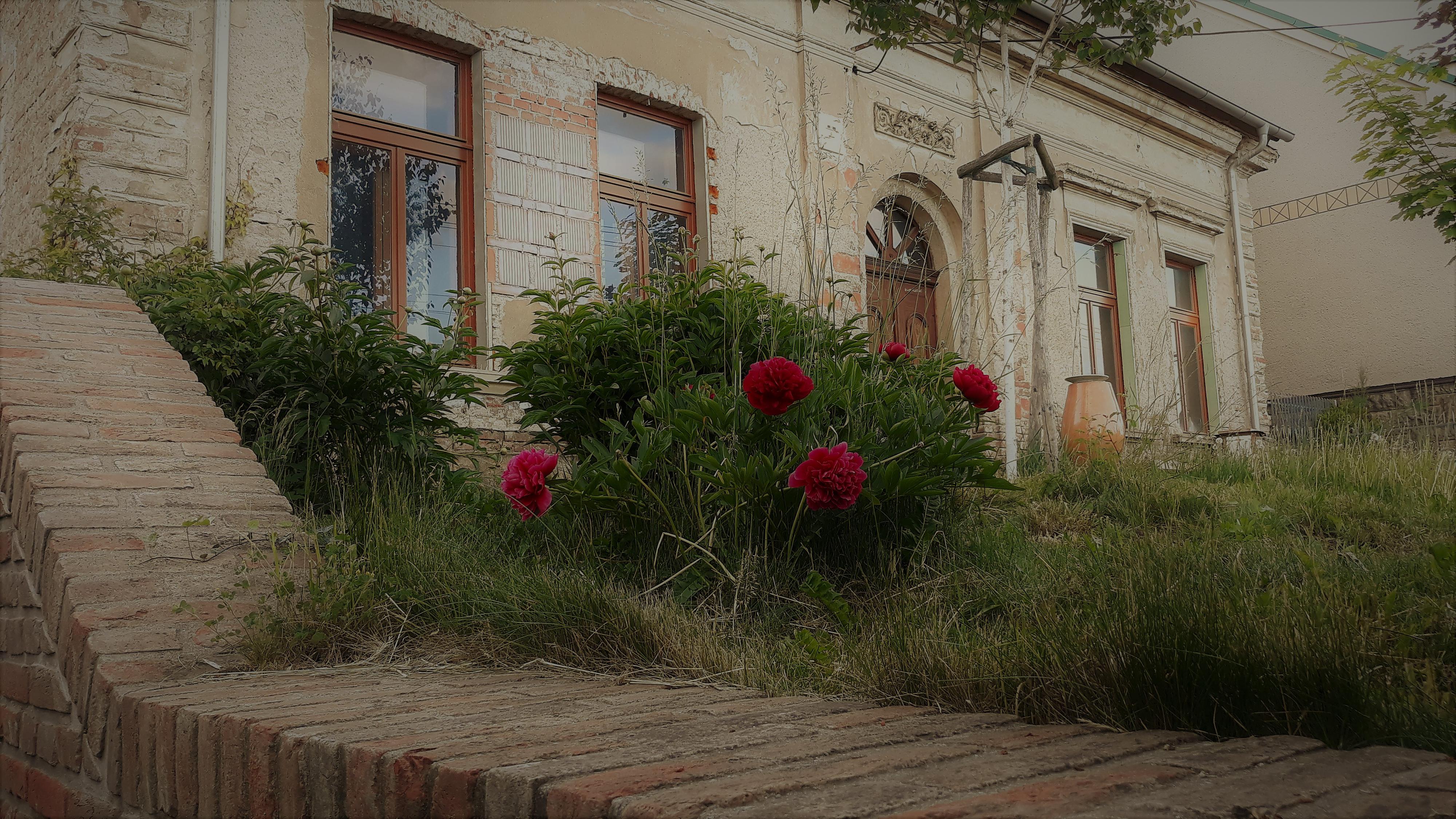 Psychoterapie Radka Brůnová foto 2