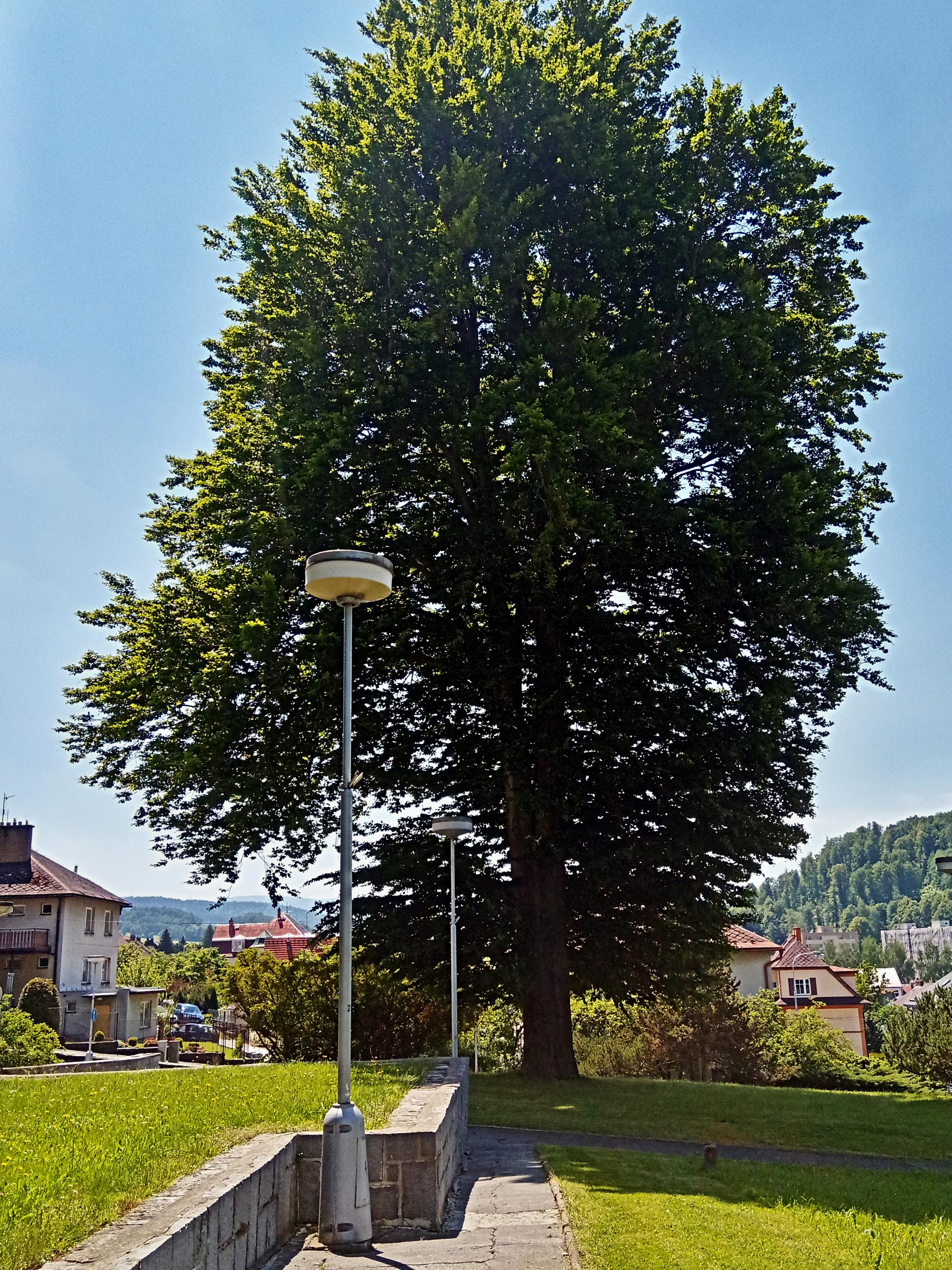 Živnostenský úřad Jeseník foto 3