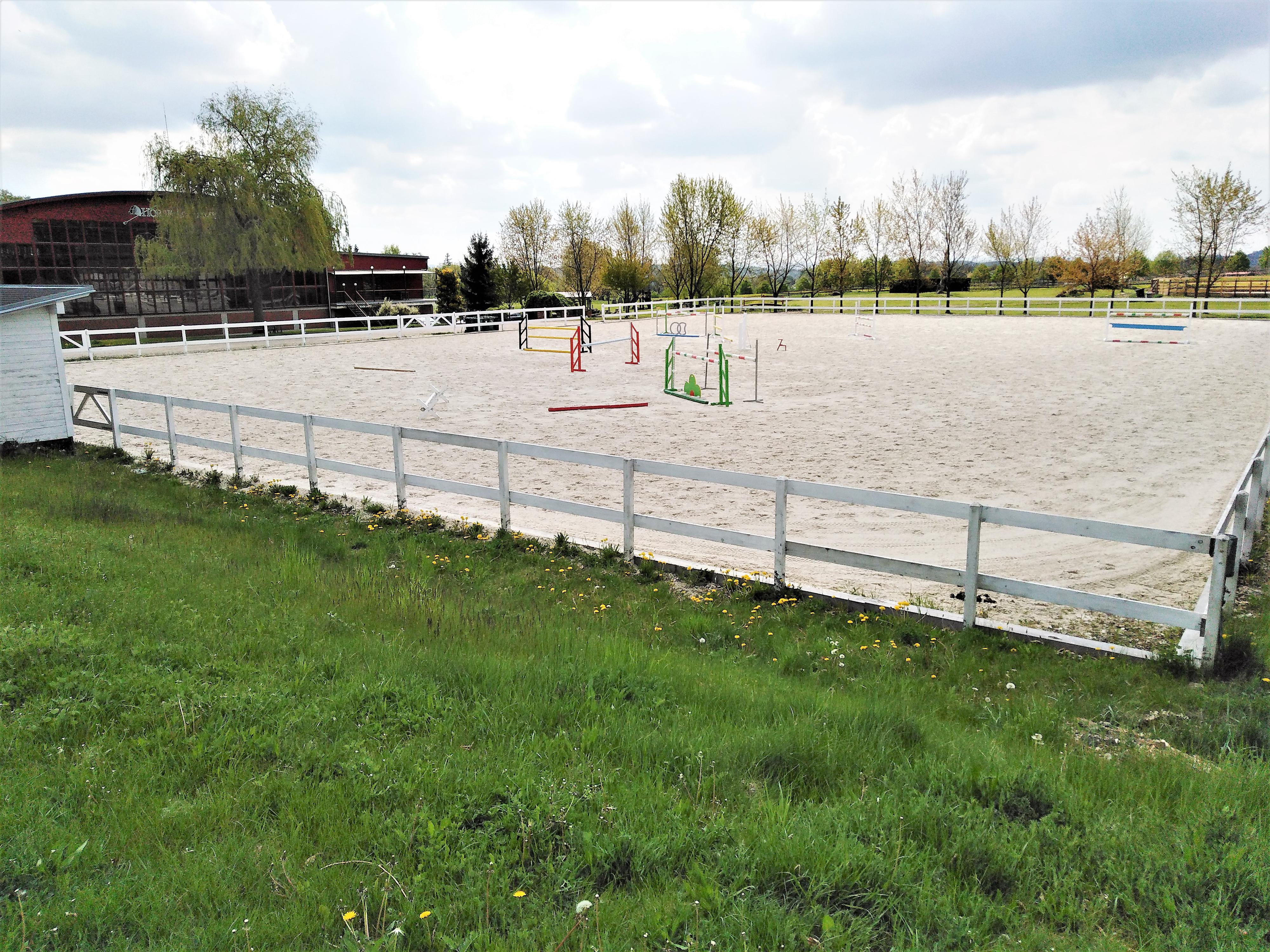 Horse Academy foto 2