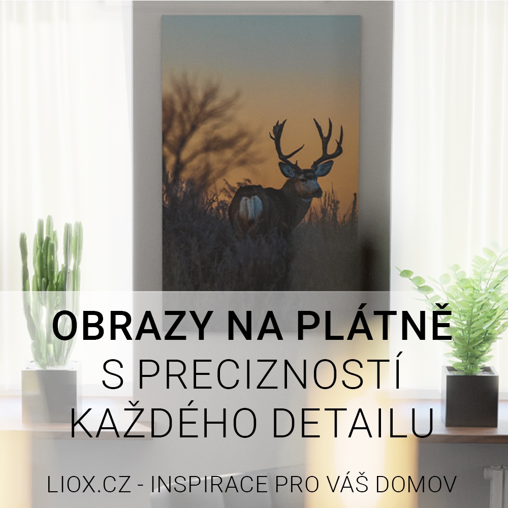 Liox.cz foto 4