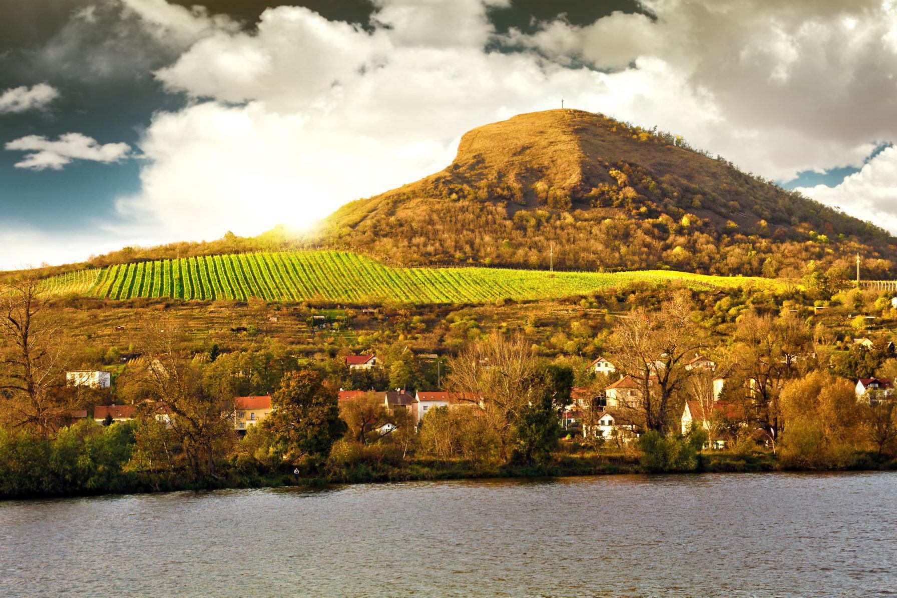 Vinarstvipodradobylem.cz