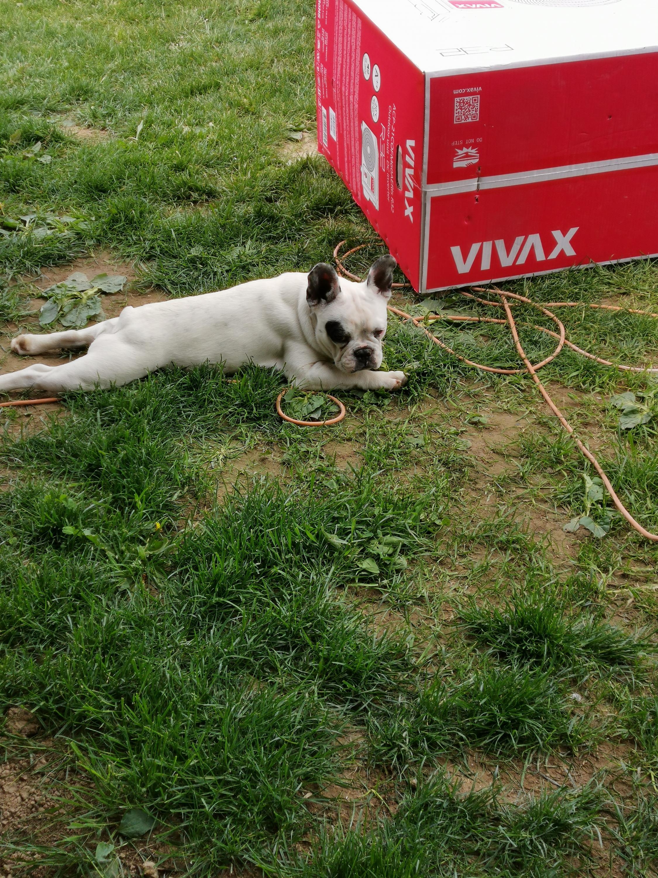 F – KLIMA klimatizace foto 4