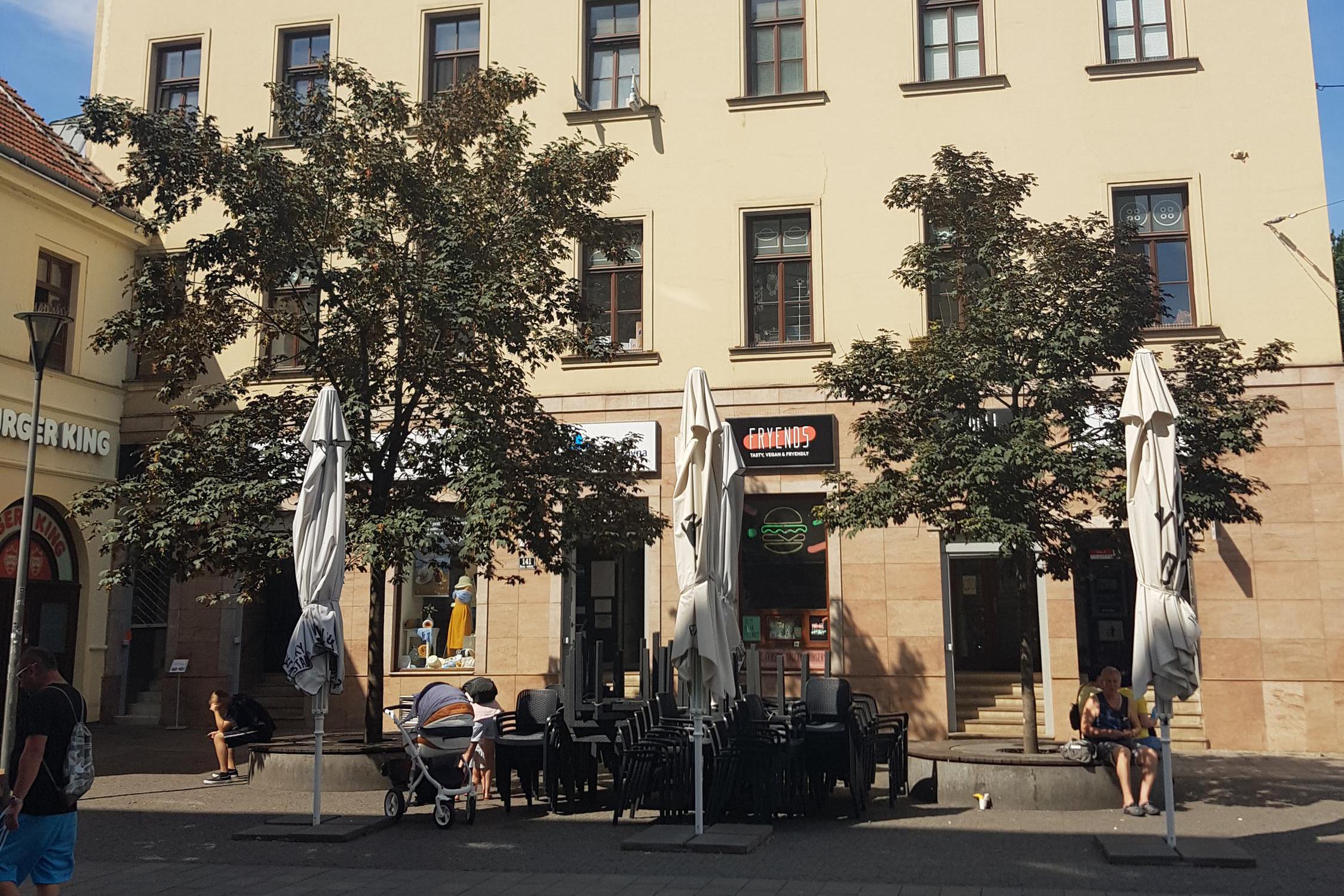 Reality Jitka Dlouhá