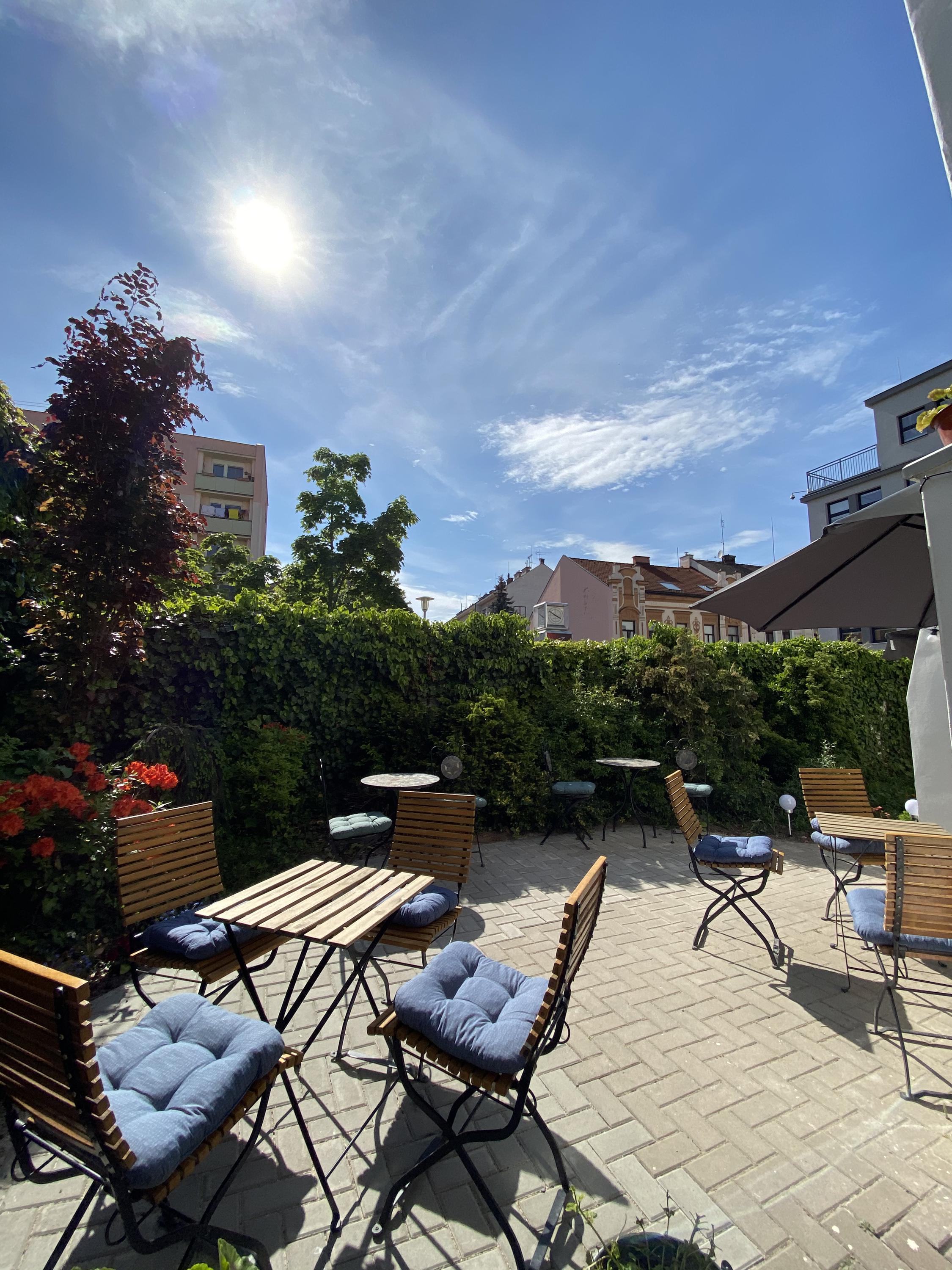 Kafe, víno, kokino foto 6