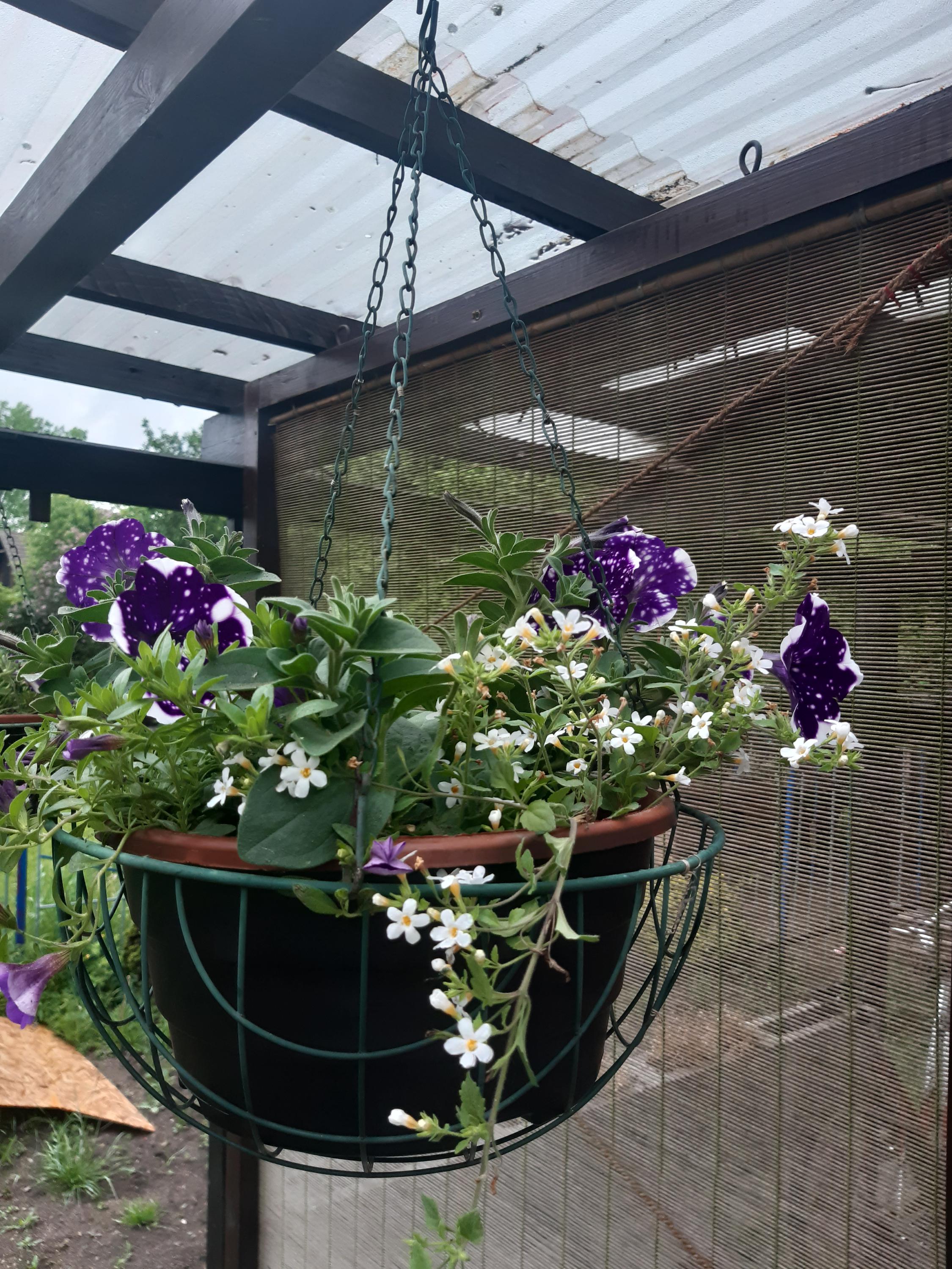 JETEL květinářství foto 2