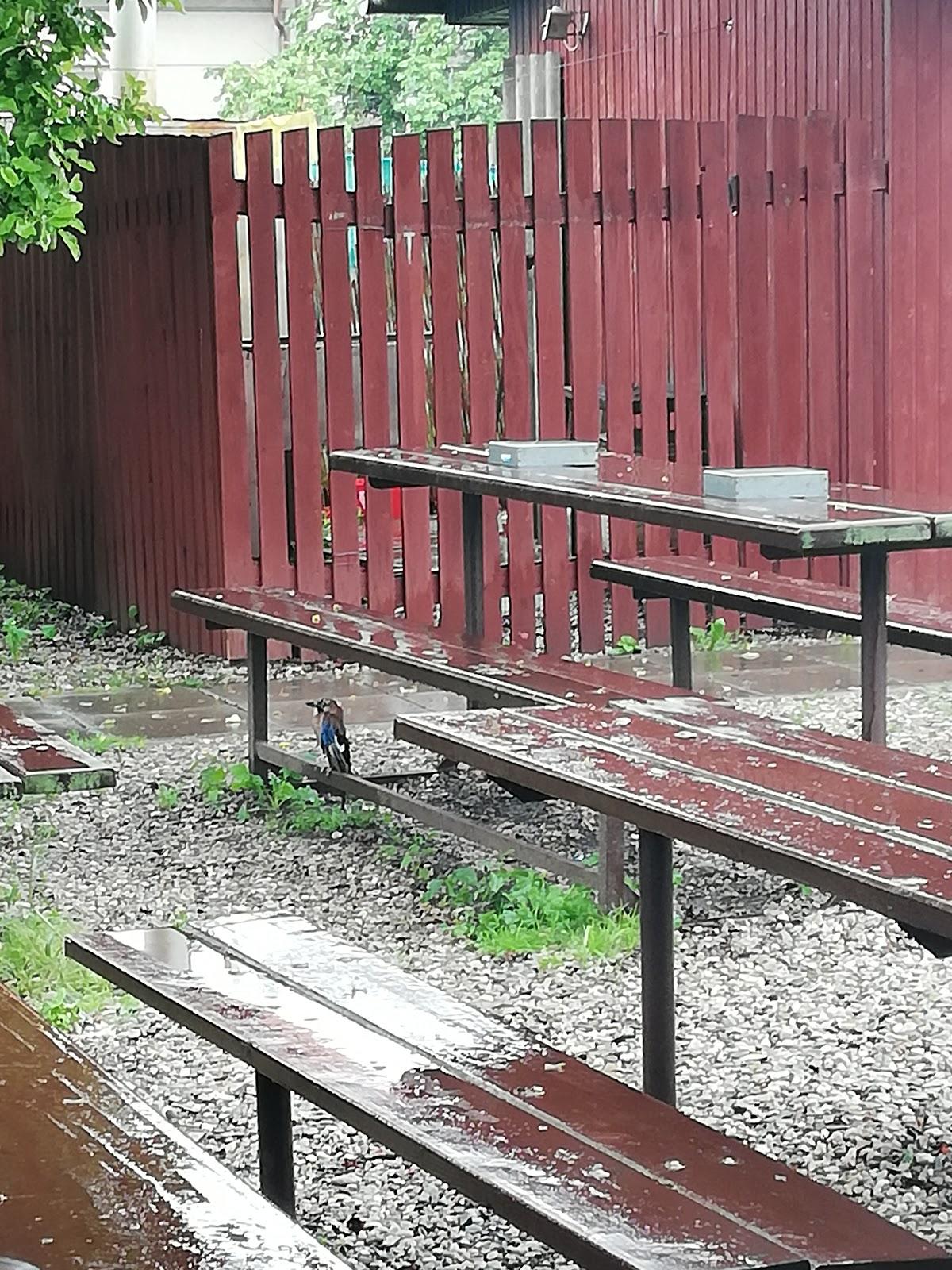 Letní zahrádka Makarská foto 6