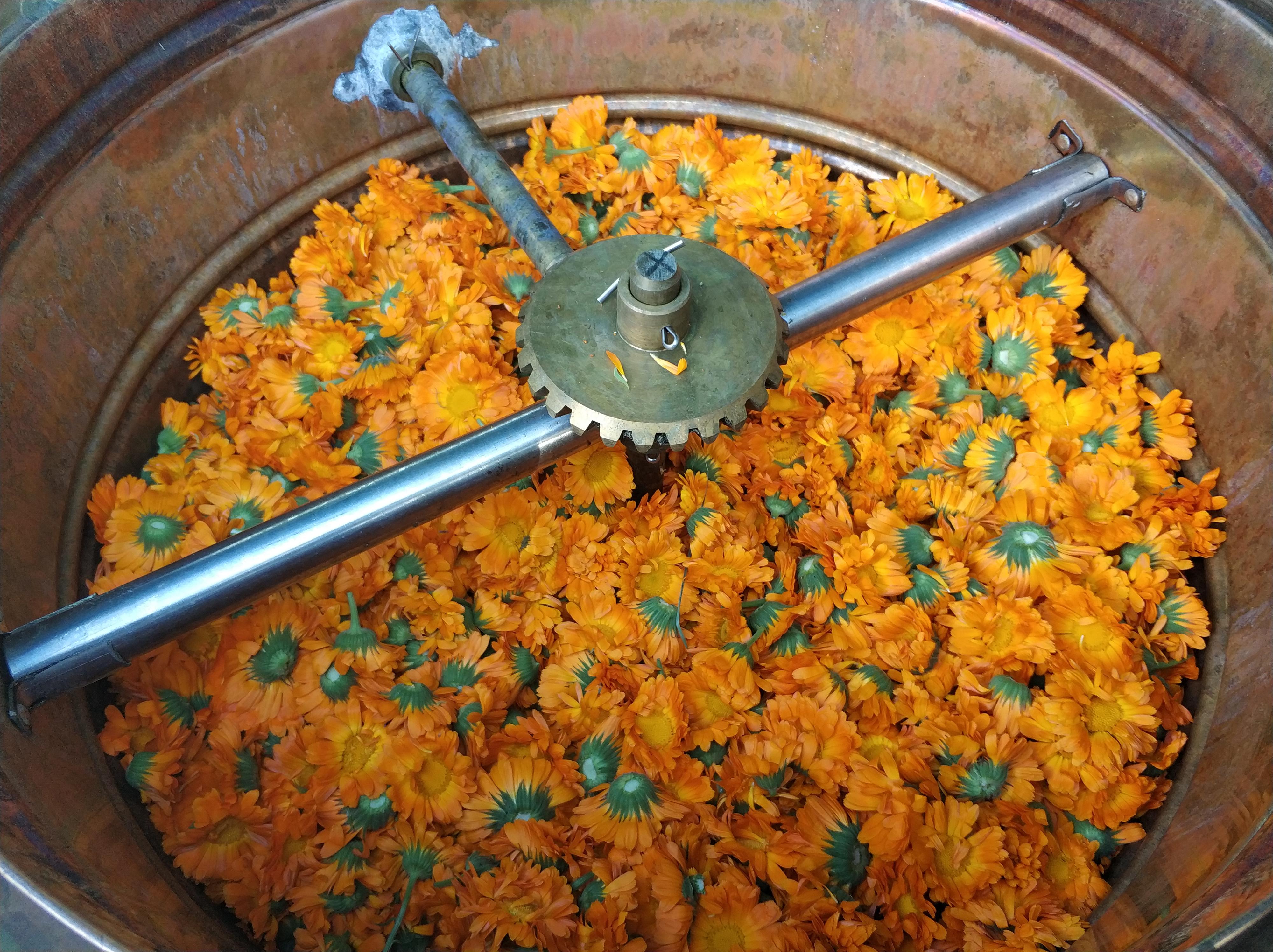 Experimentální zahrada pod Blaníkem foto 3