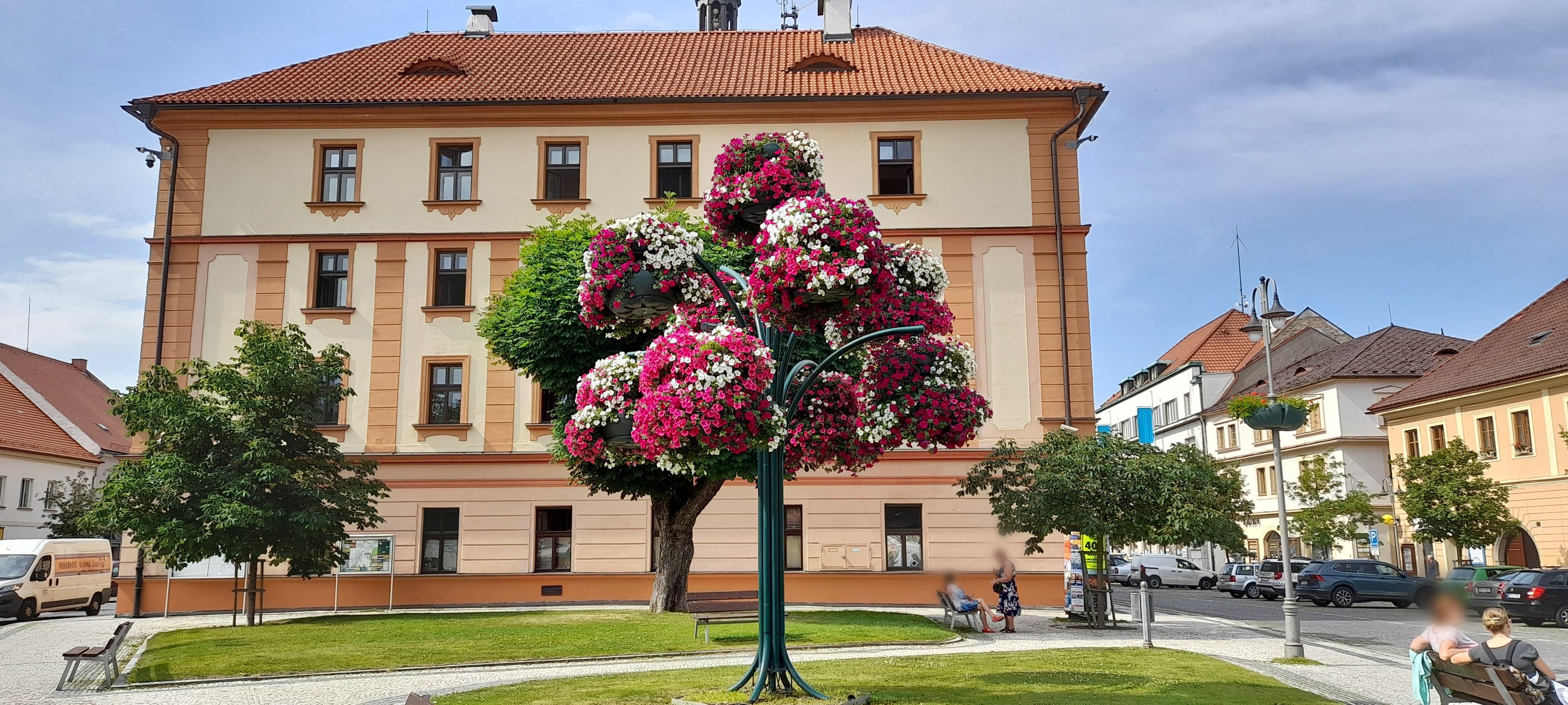 Sušice - městský úřad foto 5