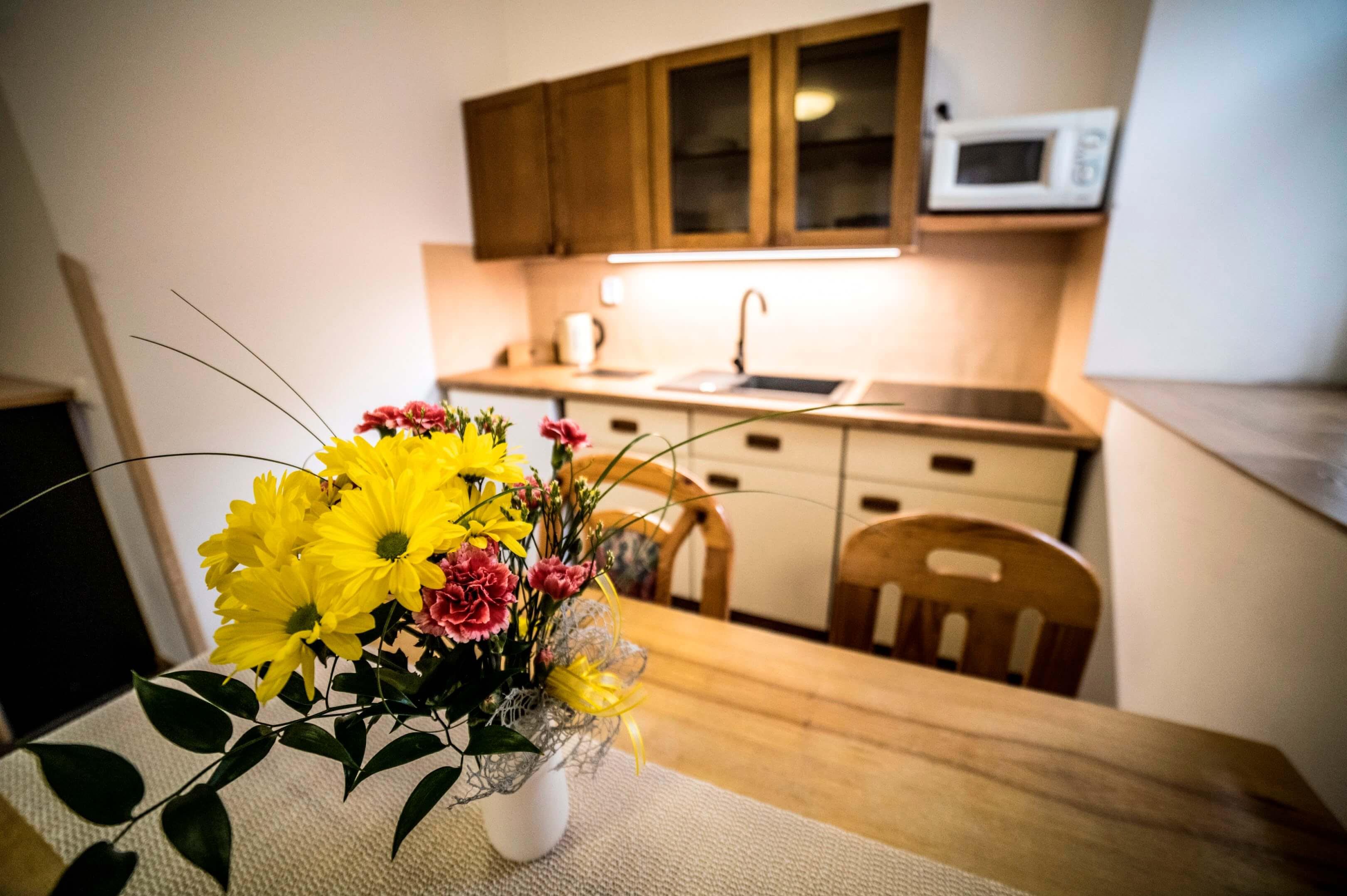 Pension 220 - Rodinné apartmány