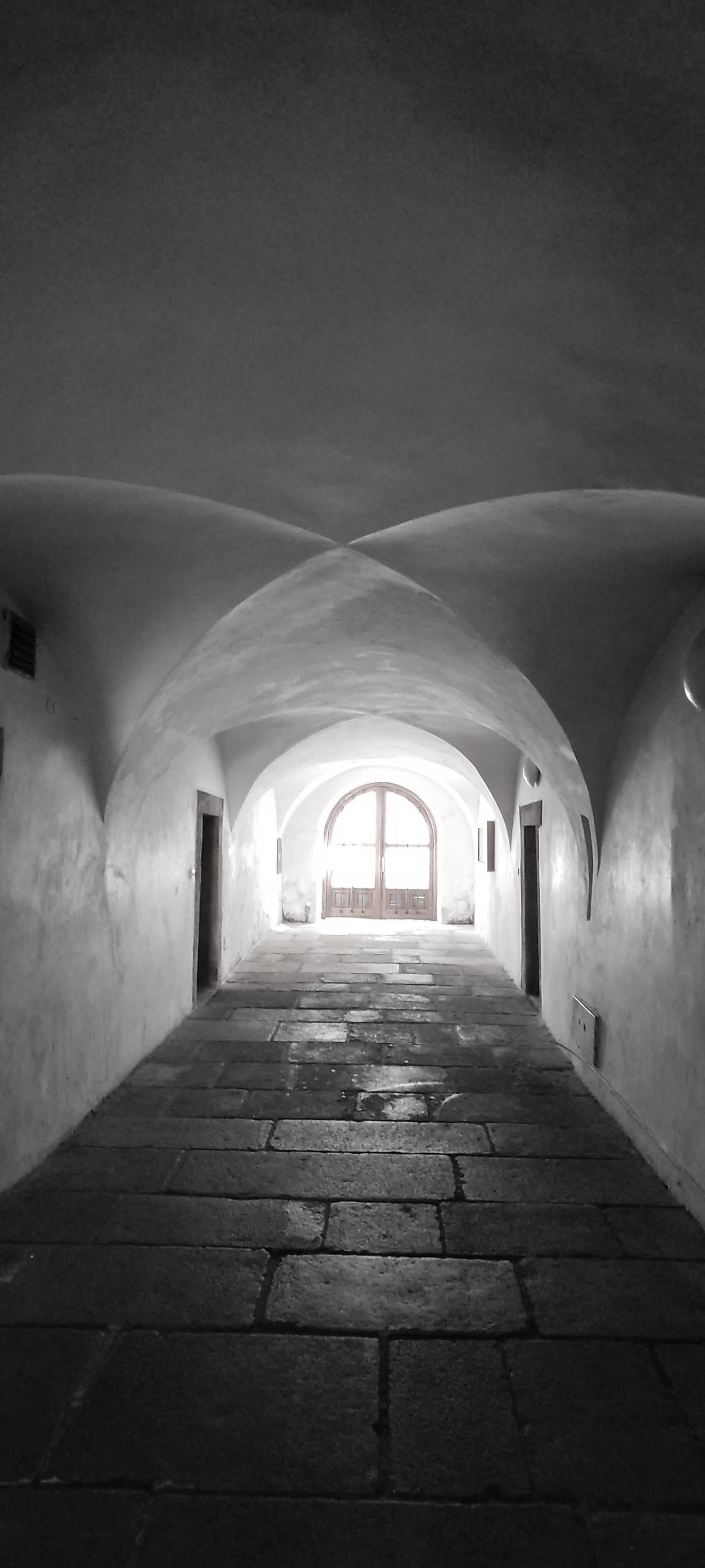 Studijní a vědecká knihovna Plzeňského kraje foto 3