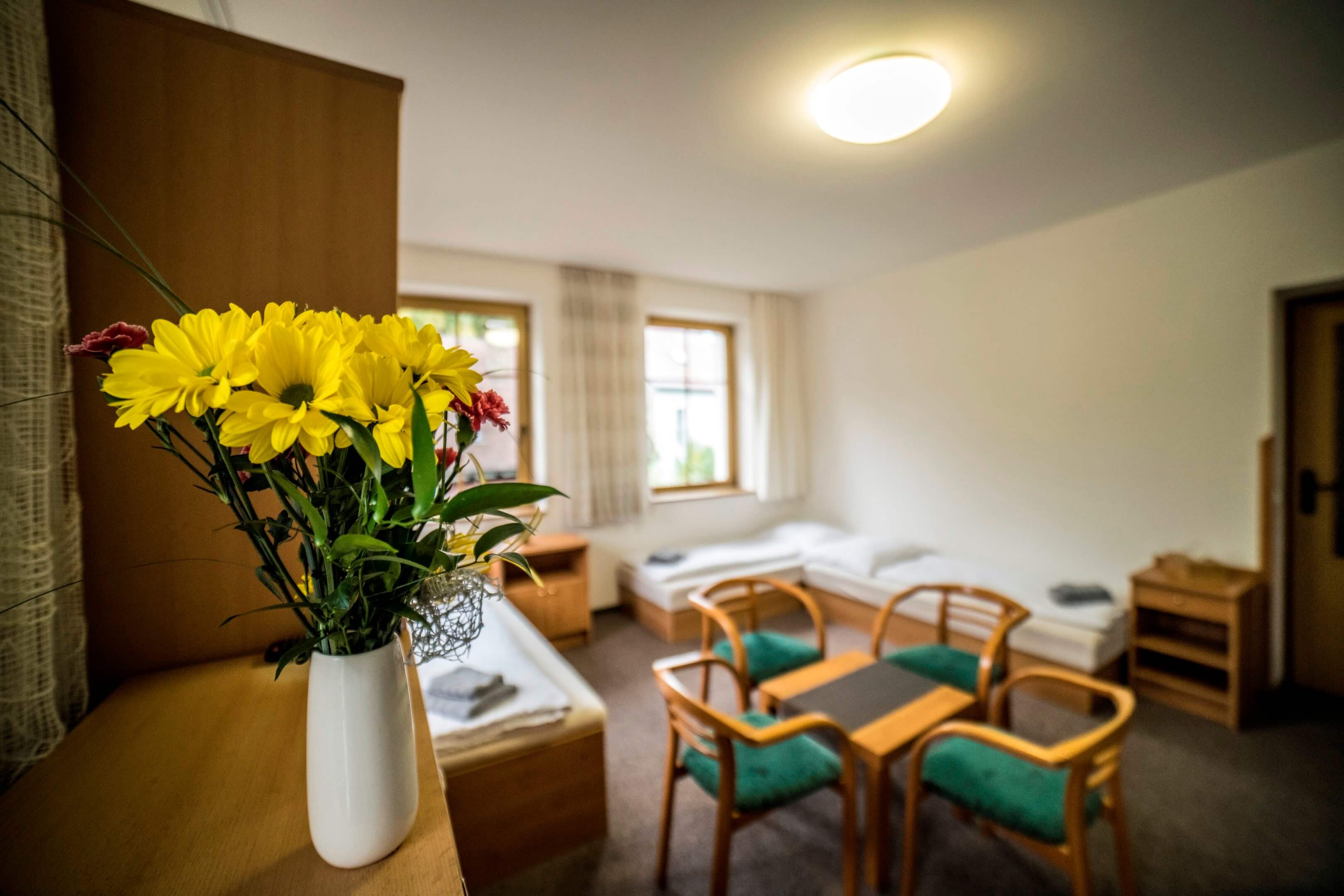 Pension 220 - Rodinné apartmány foto 3