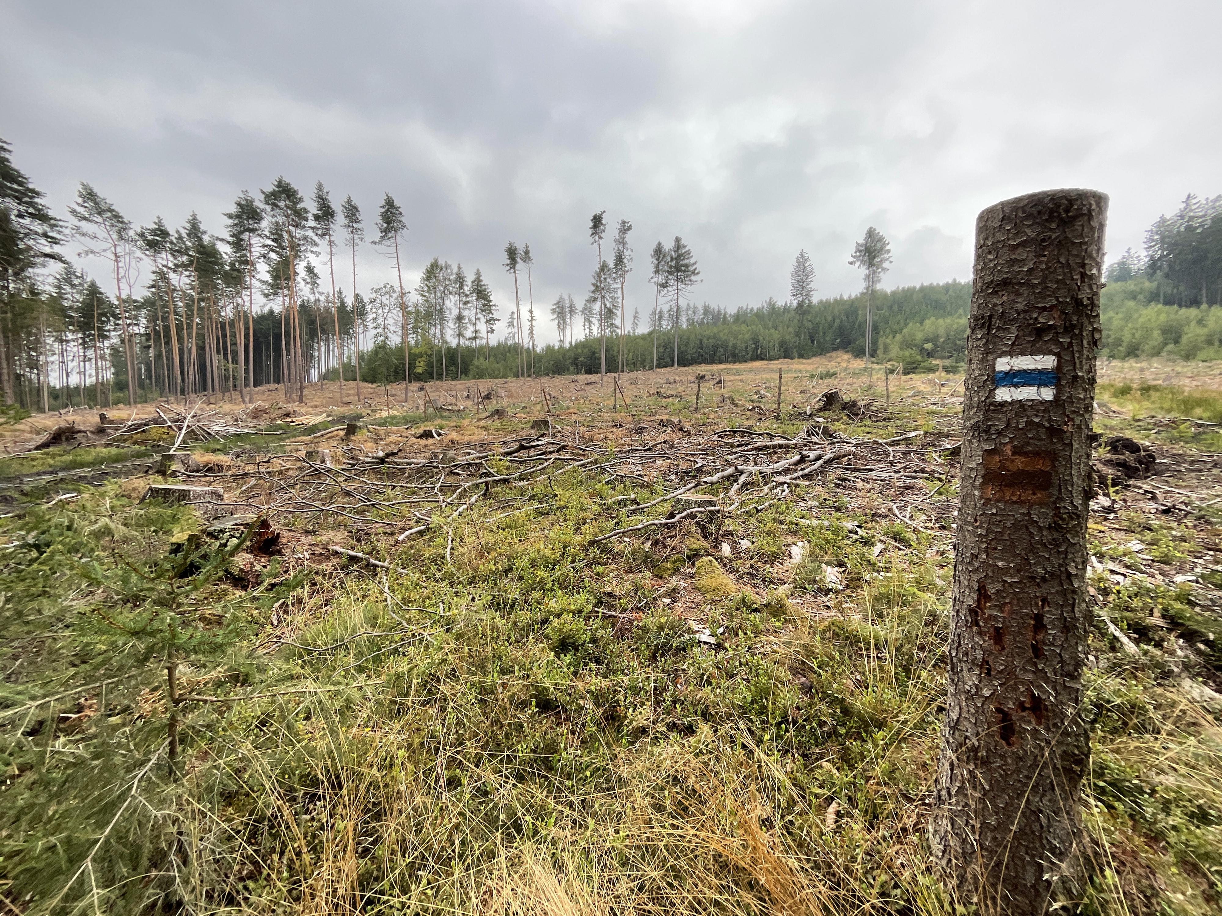 Lesy města Rokycan, s.r.o. foto 2