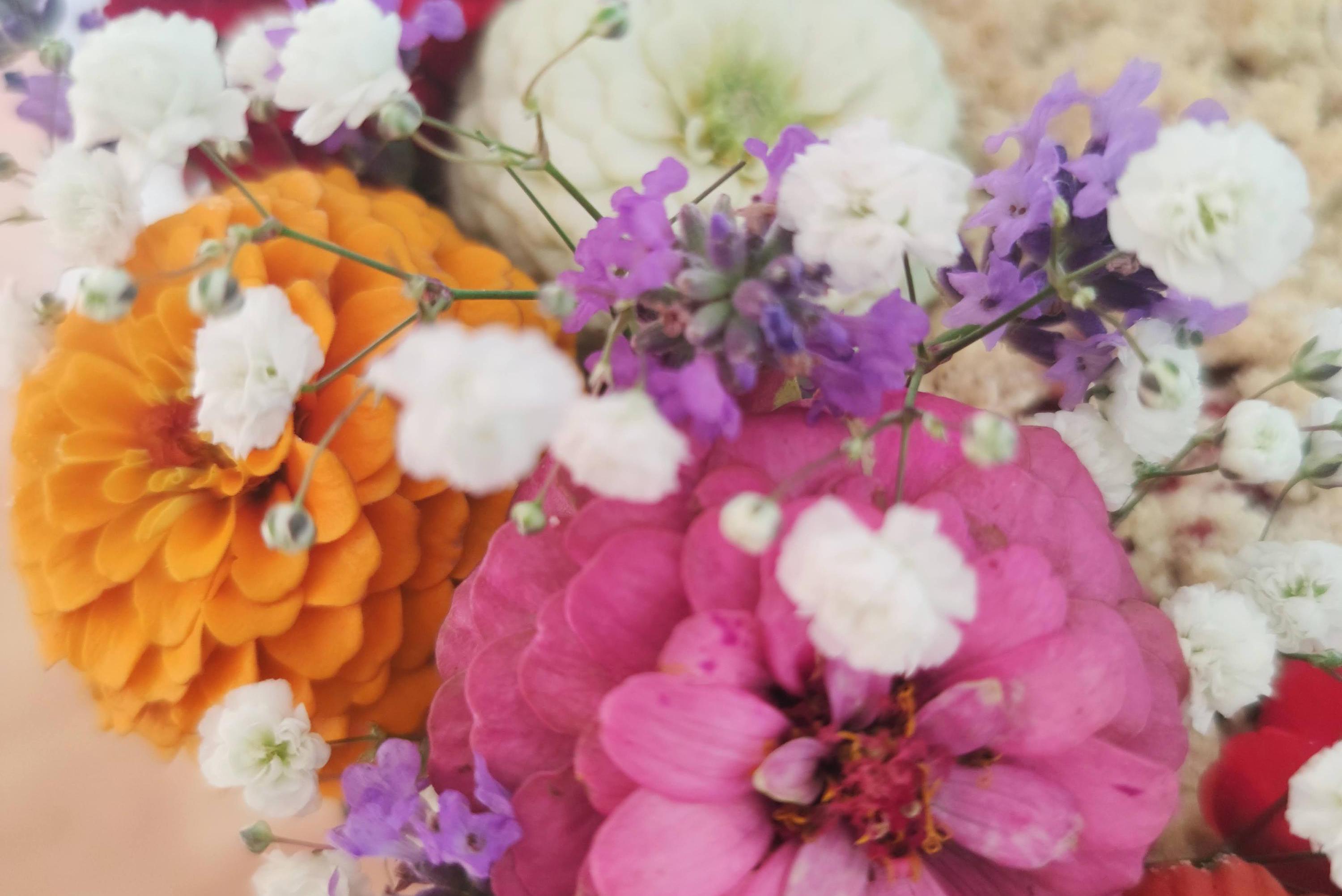 Květinářství Maja