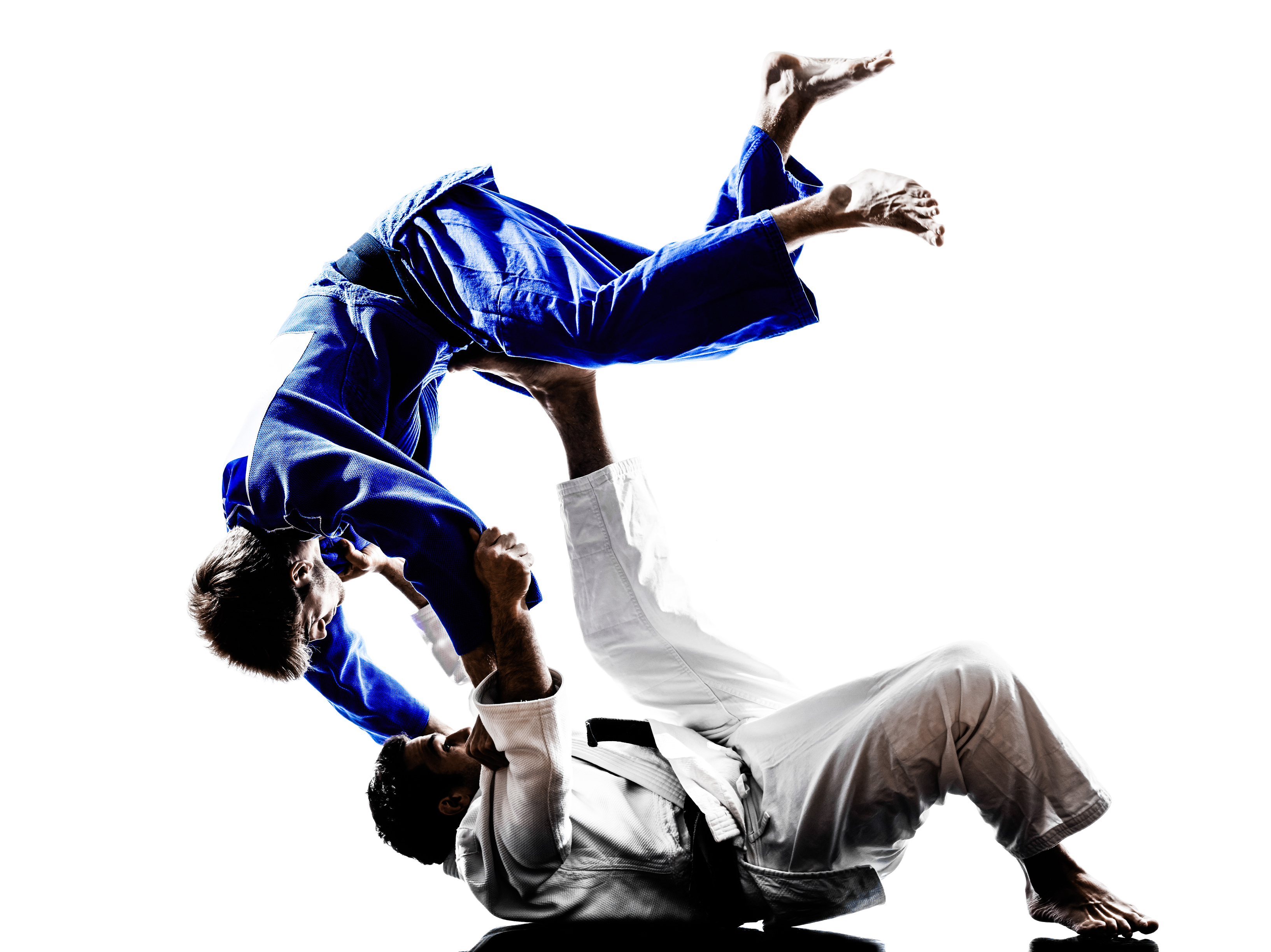 Energy Judo Team foto 2