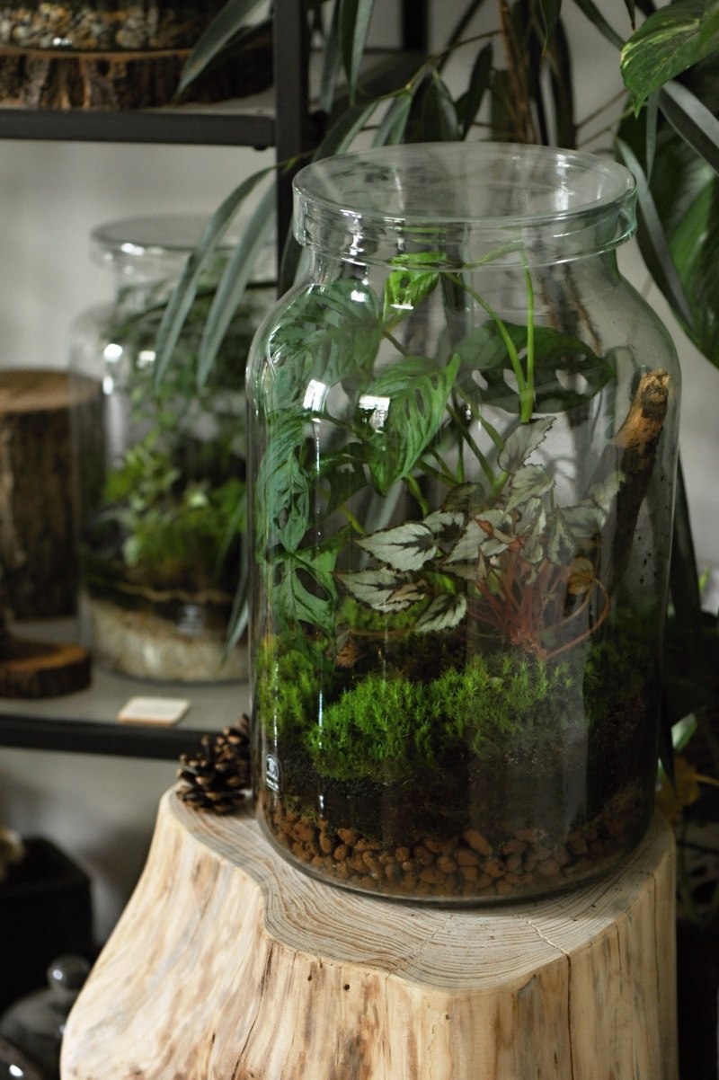 Milujeme mech foto 4