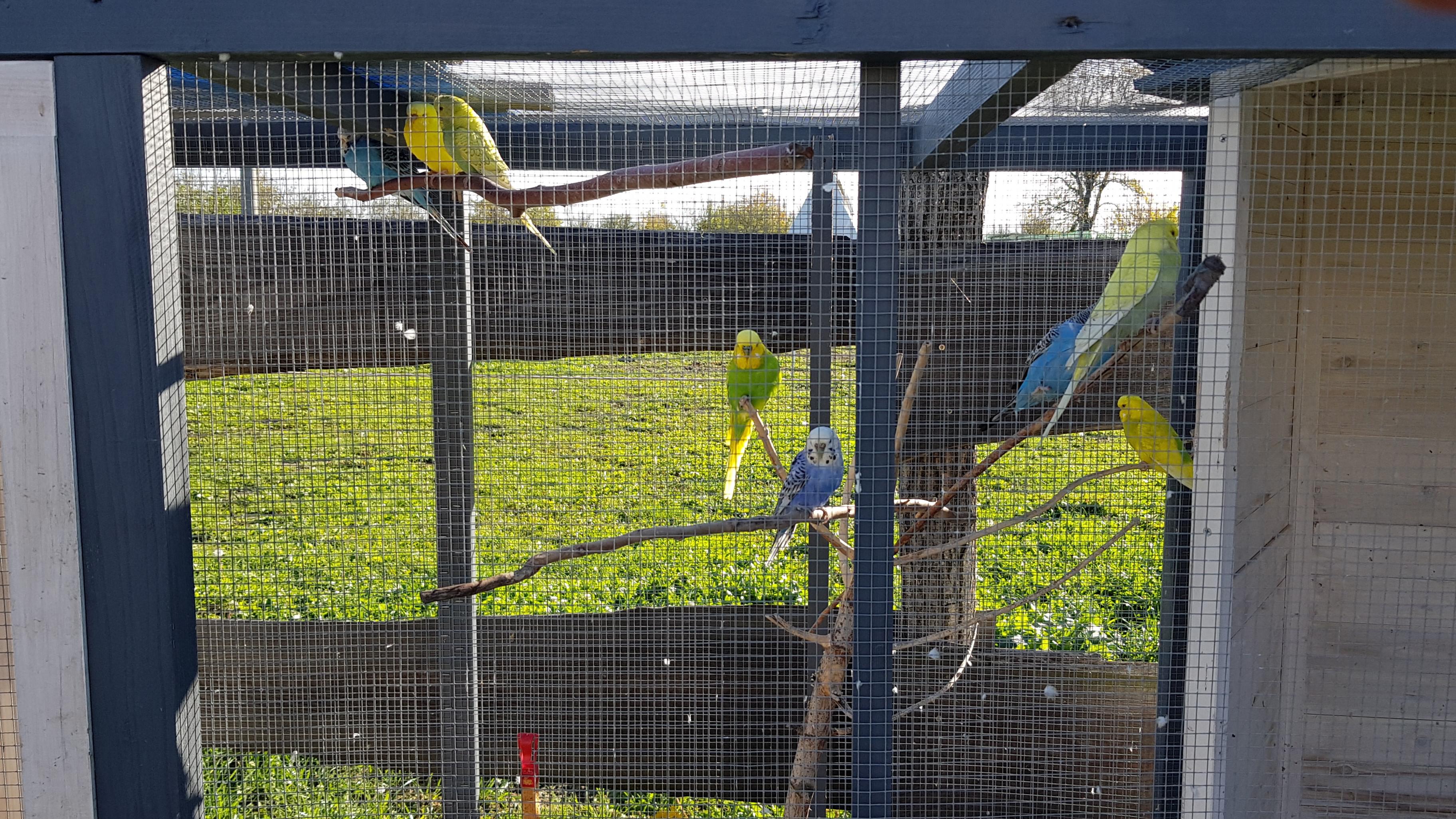 Ranč u Pálenice foto 3