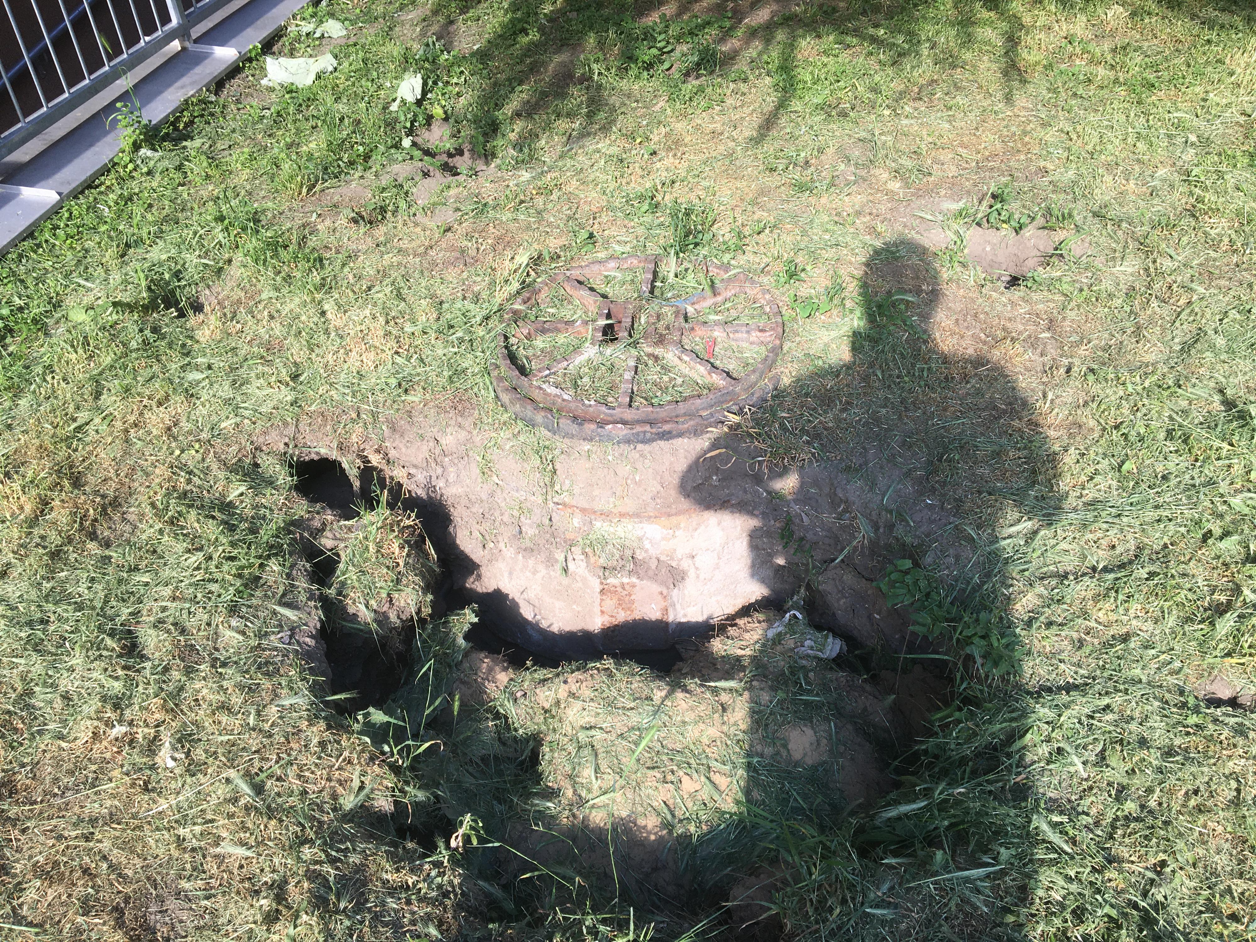 Deratizace a dezinsekce Pavel Šibor foto 4