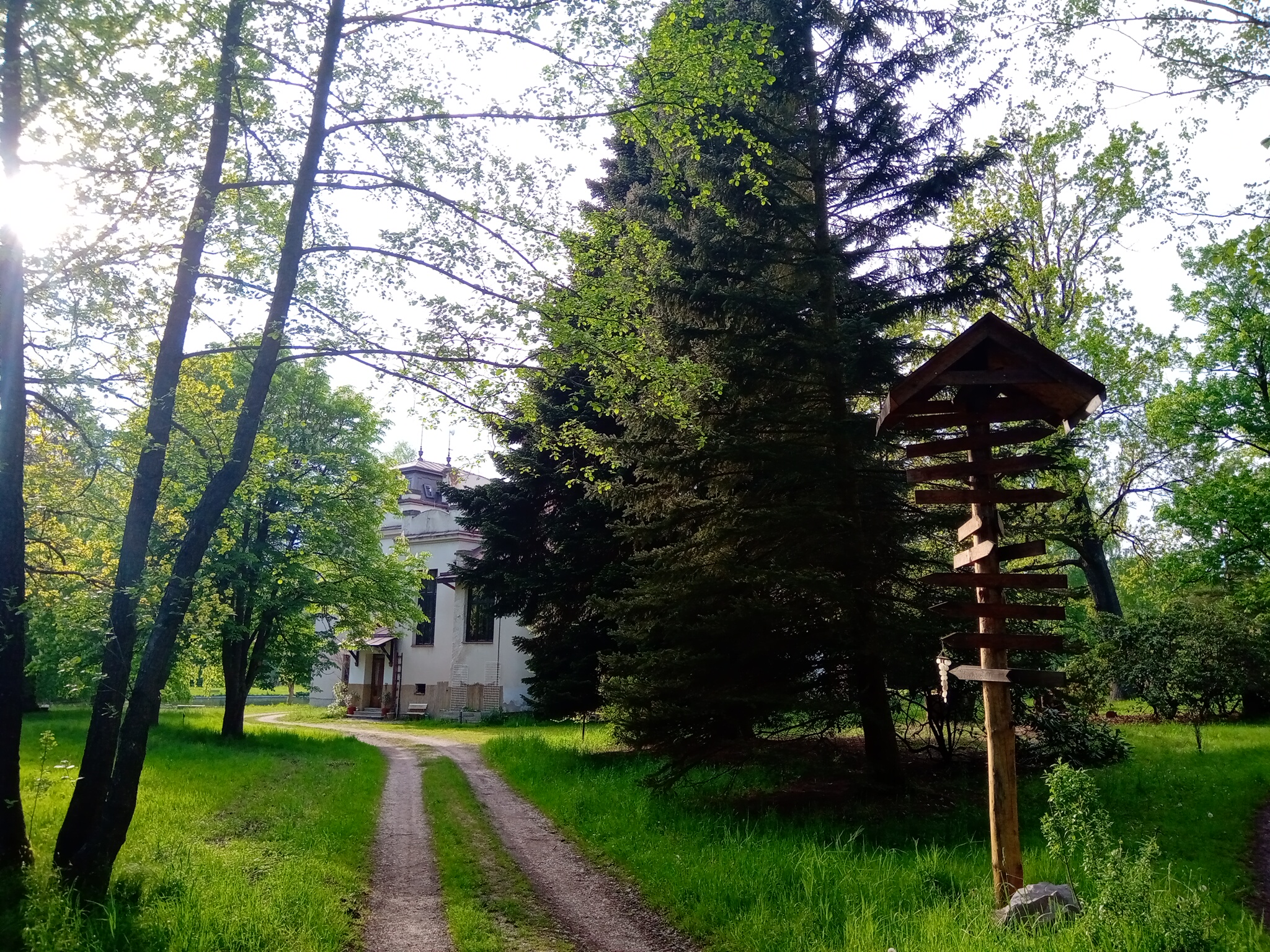 Sklenářka foto 2
