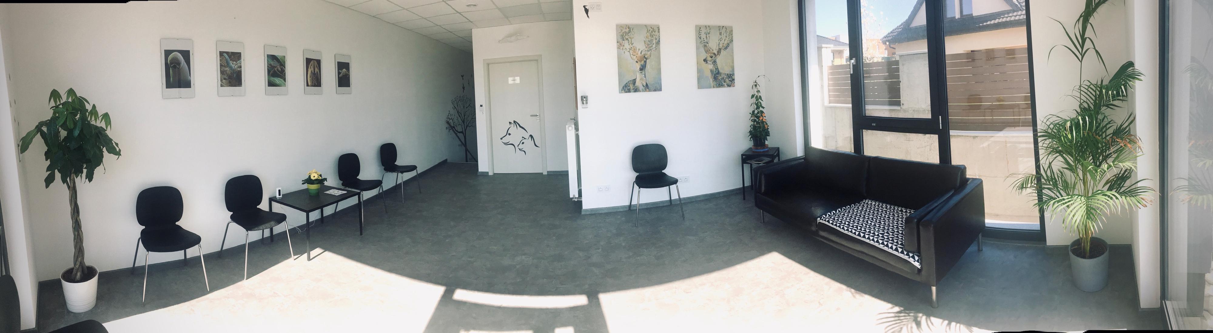 Veterinární klinika Jitřní - Černošice foto 5