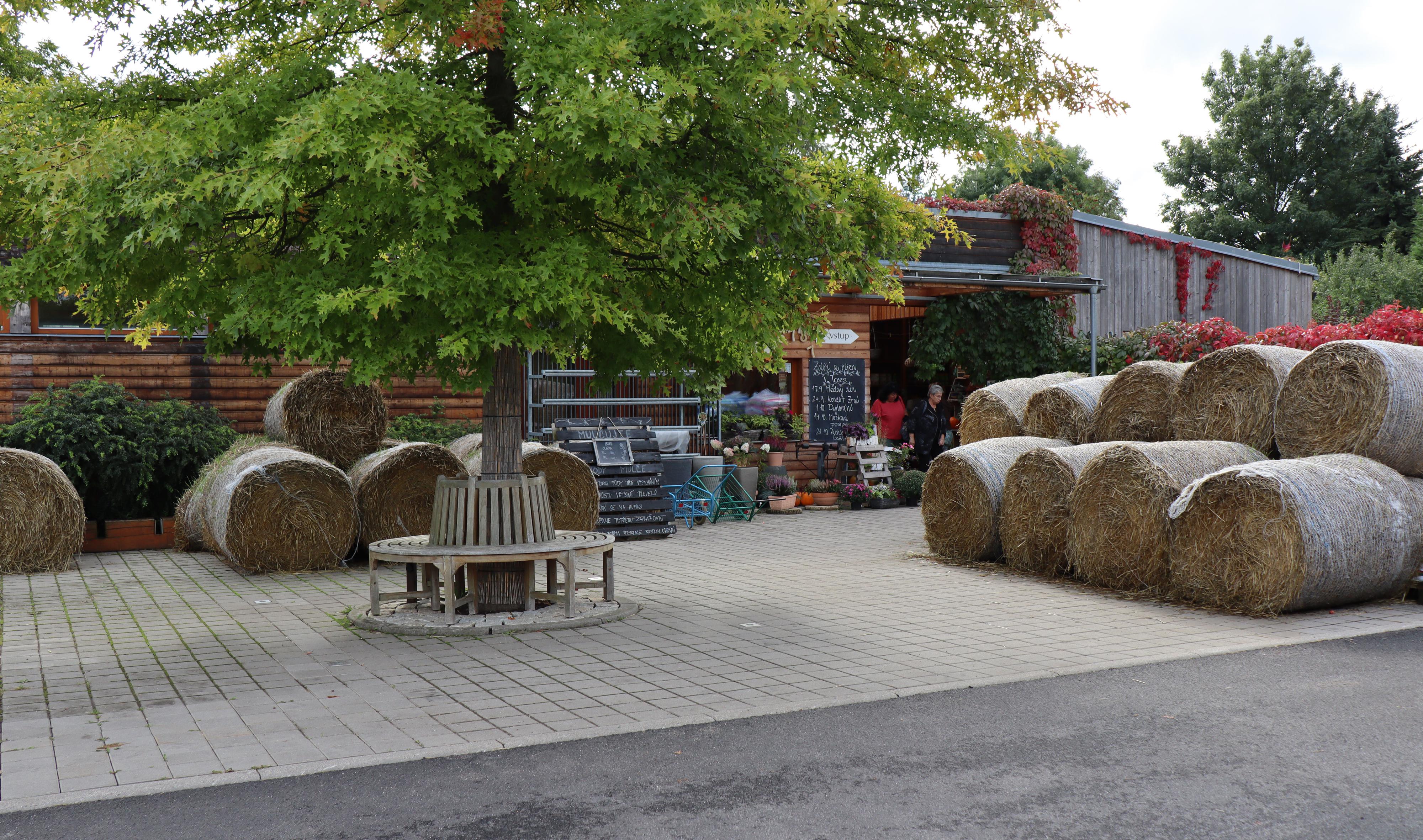 TREES - Zahradnictví a kavárna foto 5