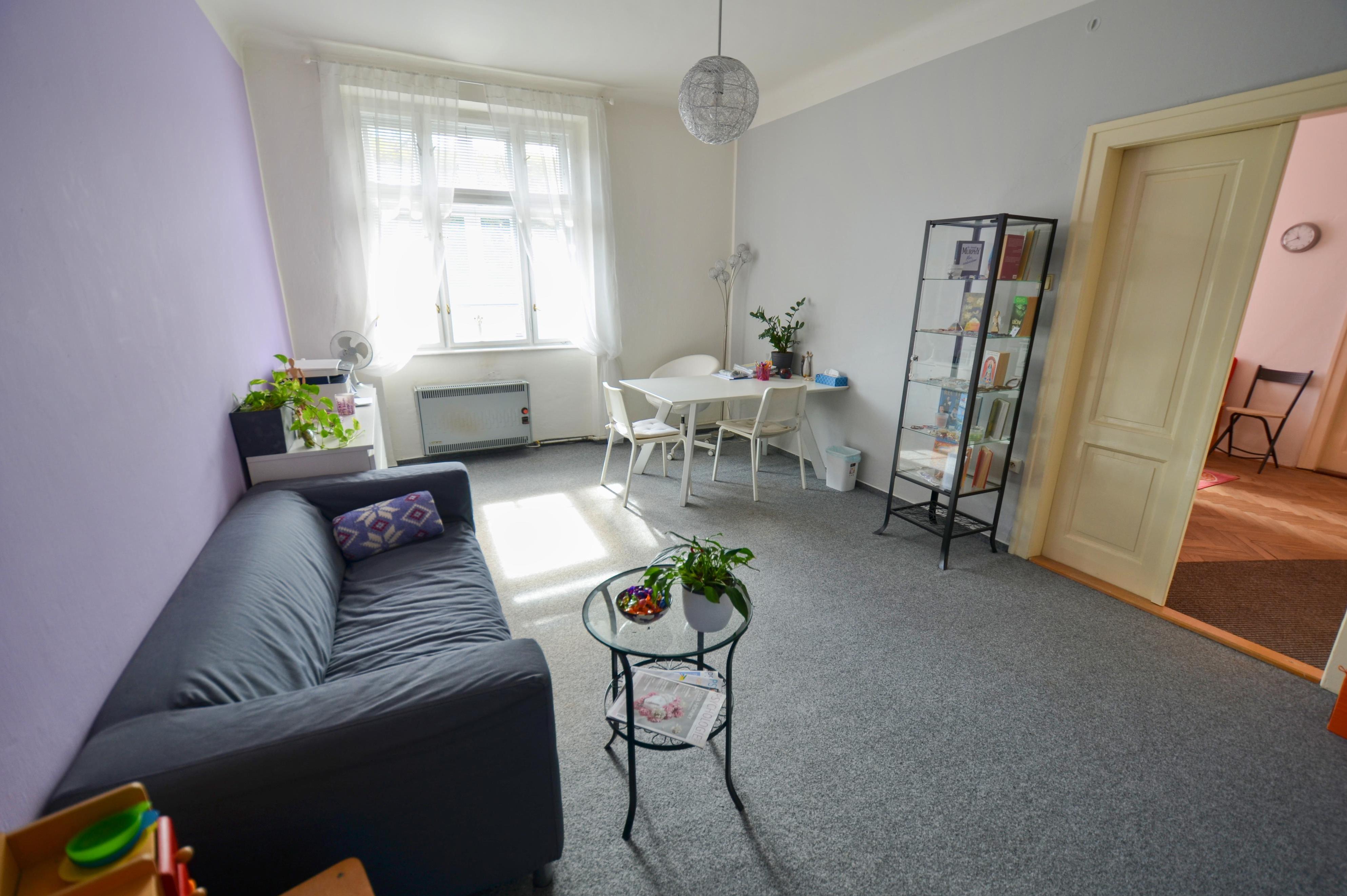 Kineziologická poradna Berunka foto 1