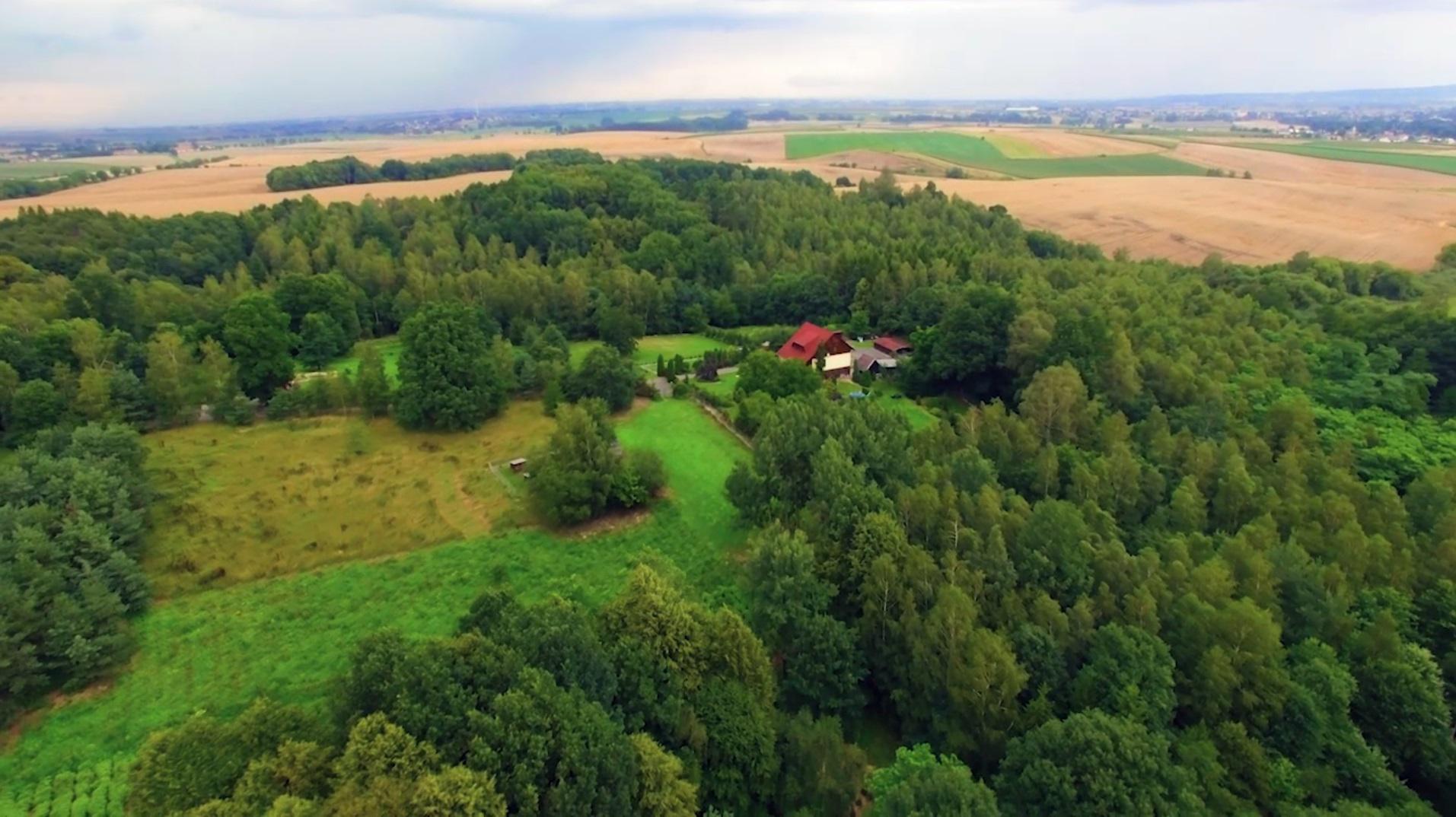Hotel pro psy Na samotě u lesa foto 6