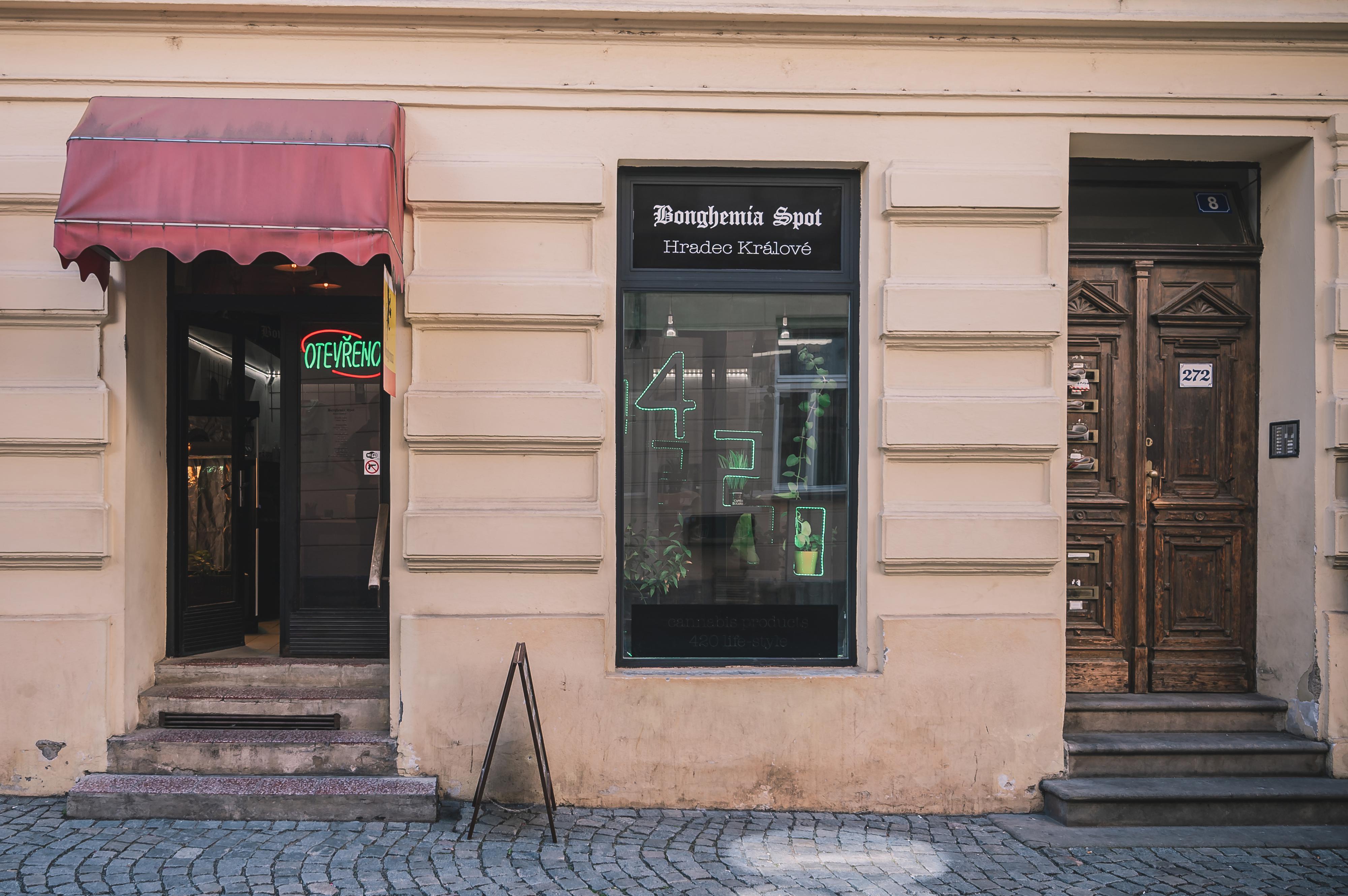 Bonghemia Spot foto 3