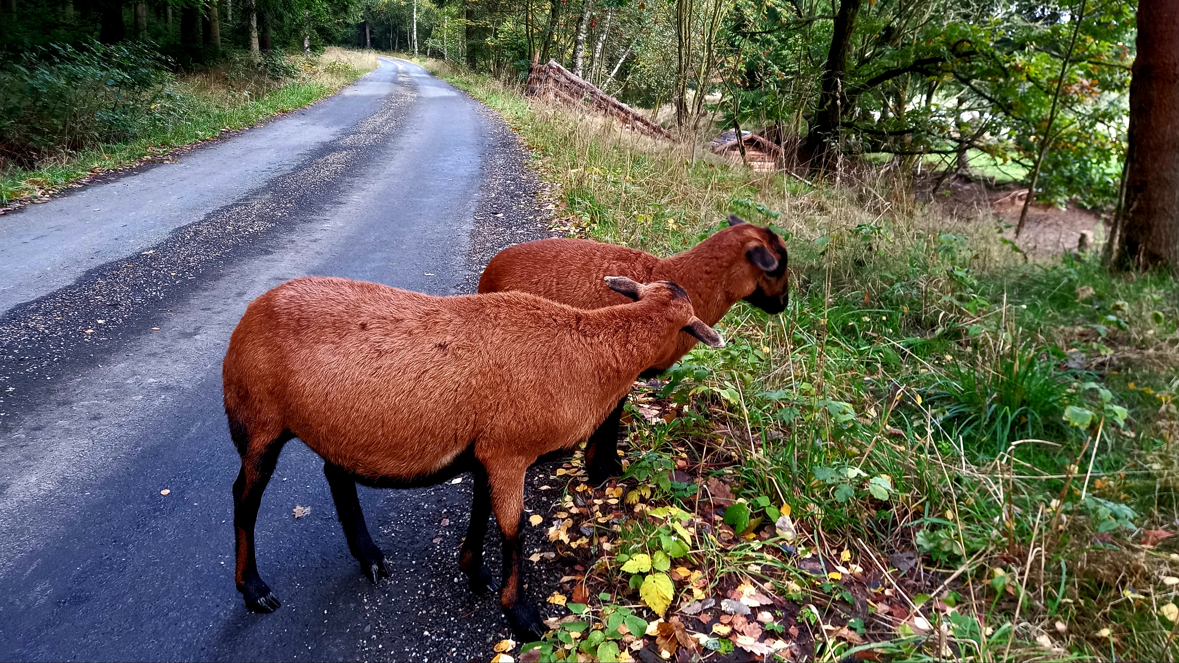 Ranč Vránov foto 1