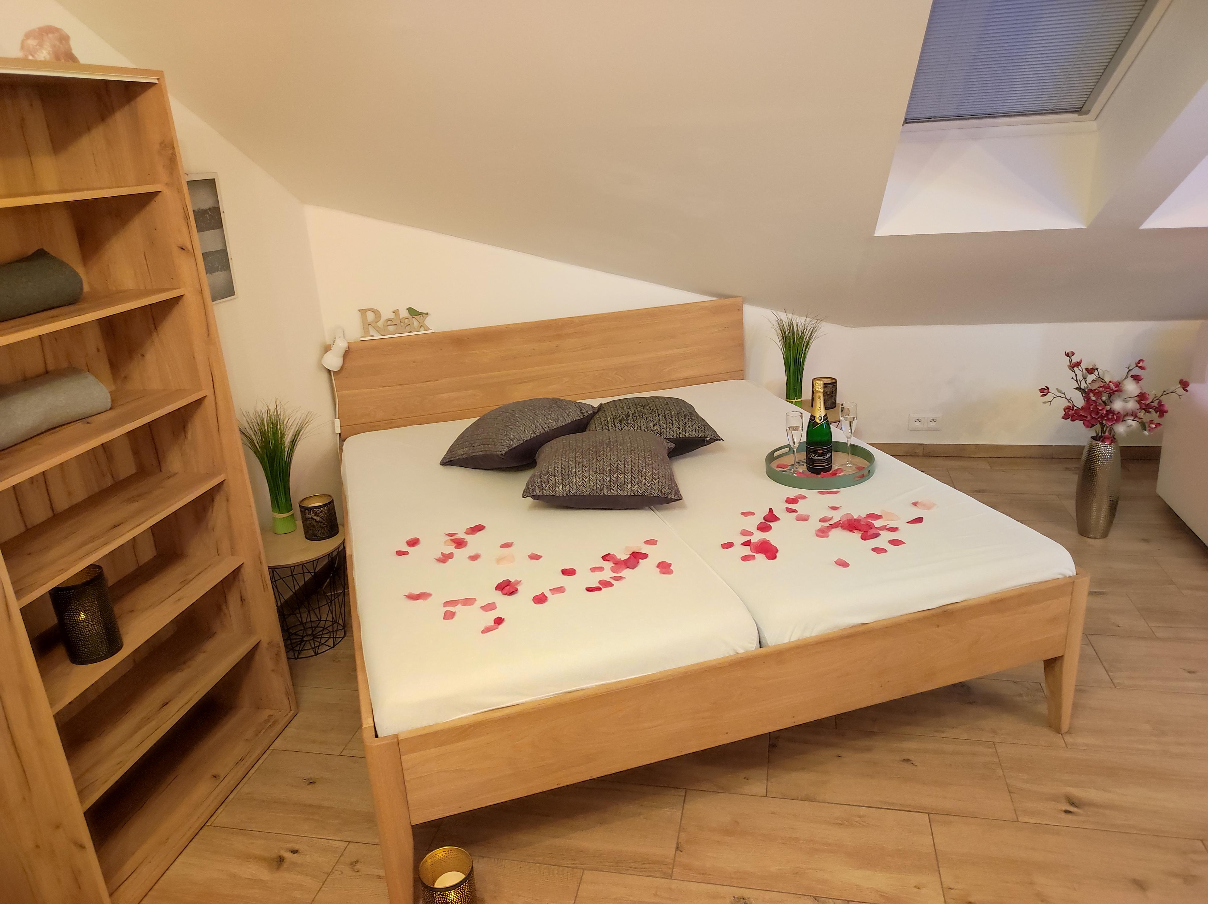 Wellness club Plzeň - apartmán foto 6