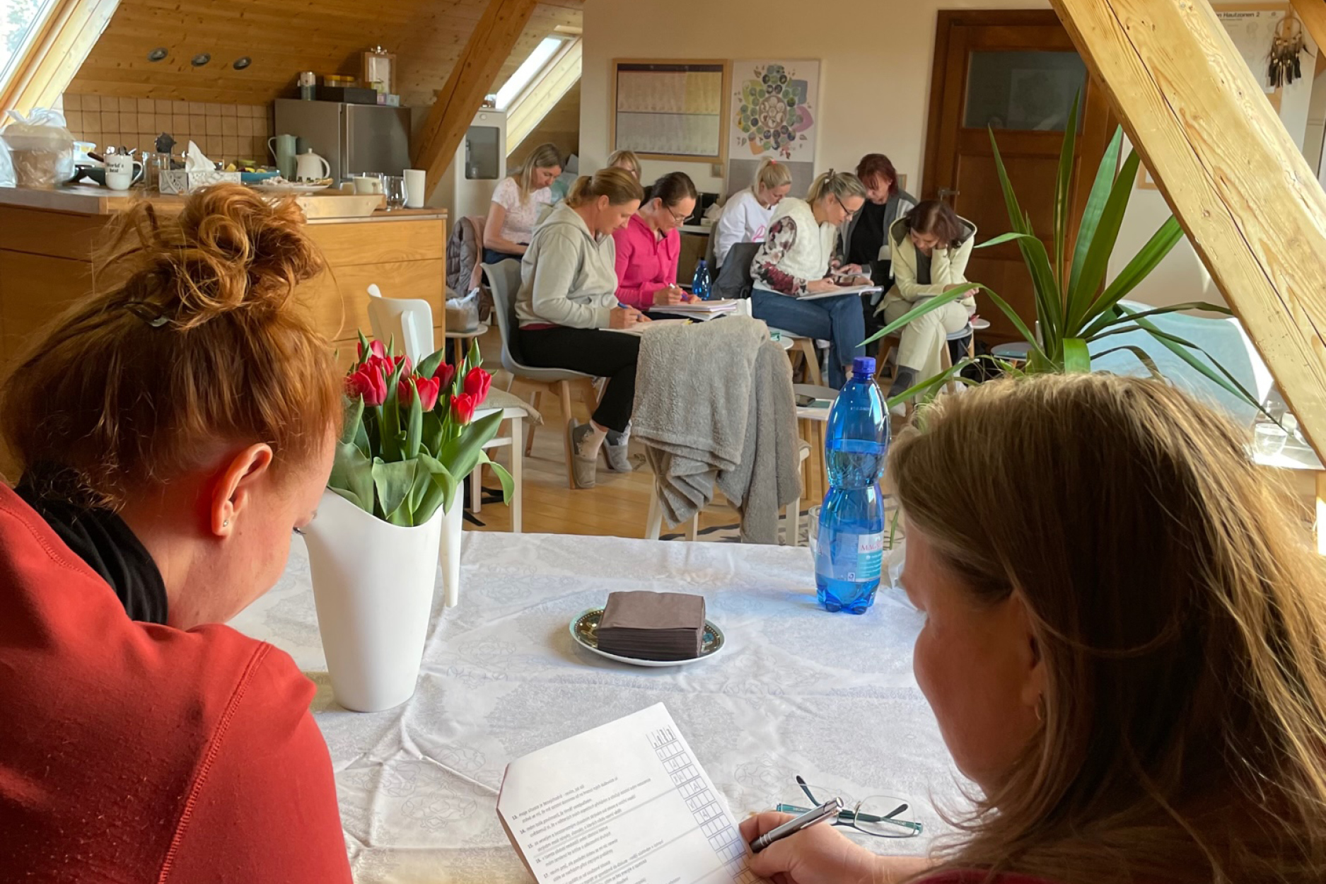 Jednodenní Seminář: tkáňové soli Dr. Schüsslera