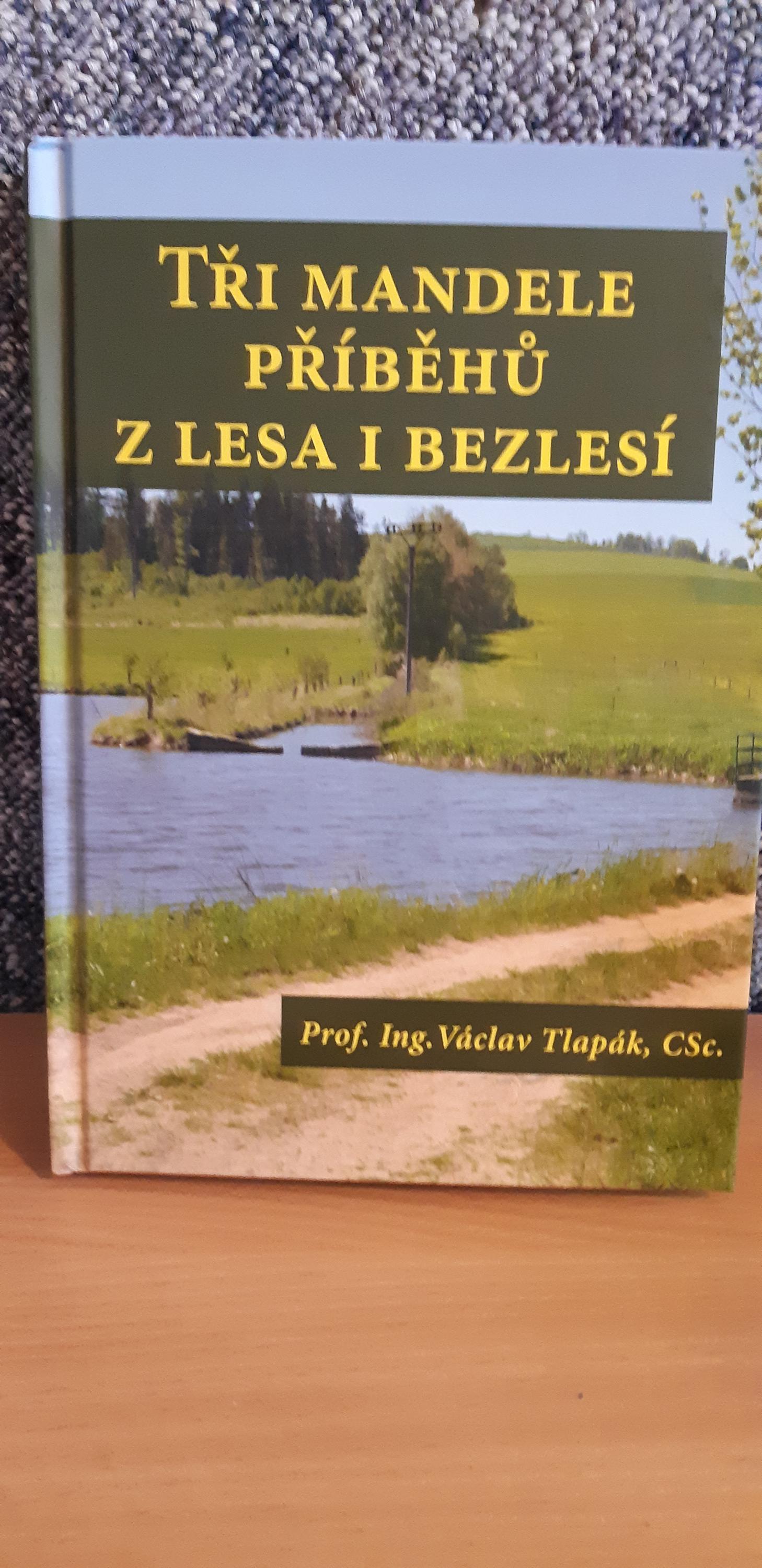 ČSOB - Československá obchodní banka foto 2